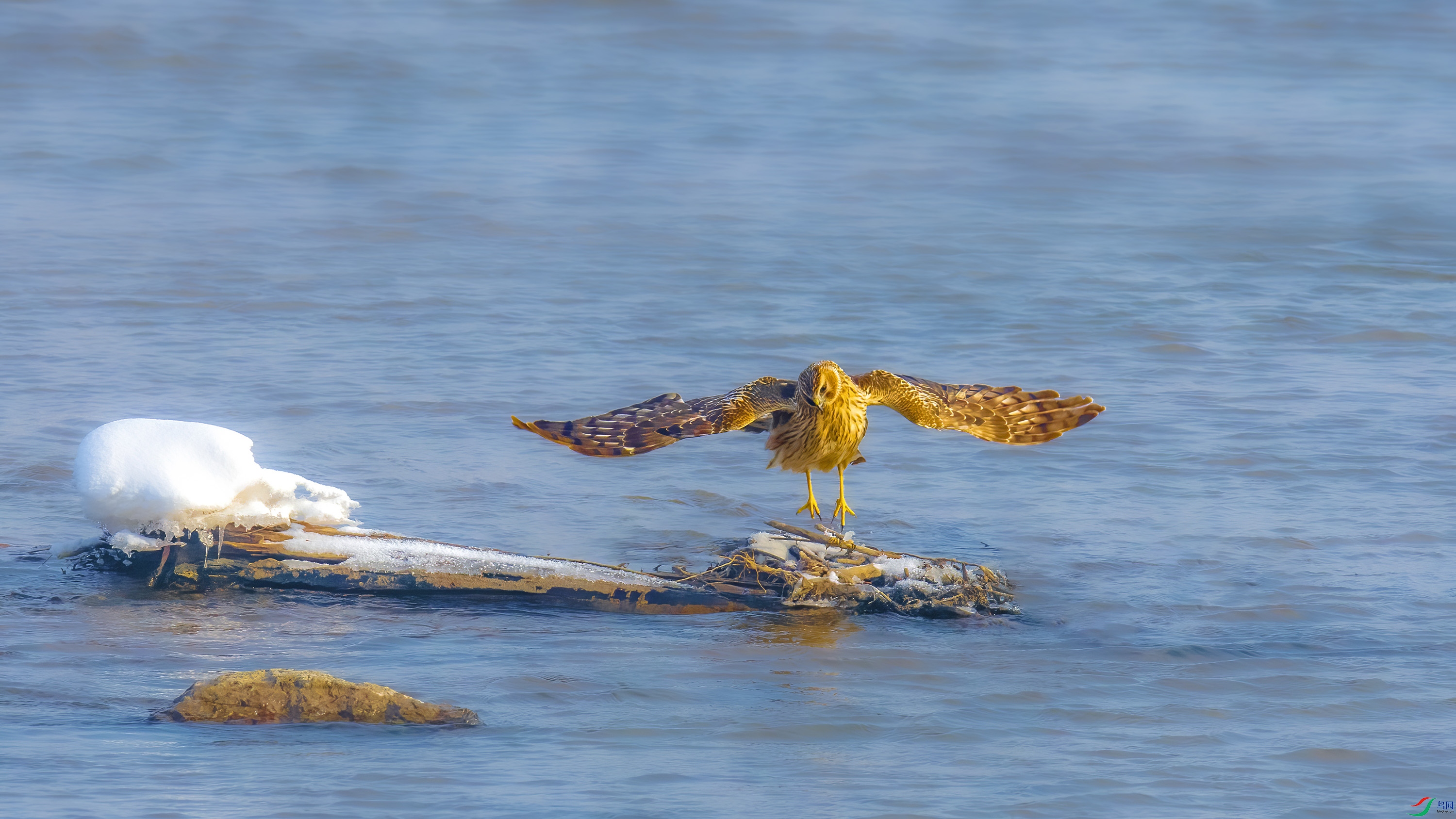 _8508299     ok ����.jpg