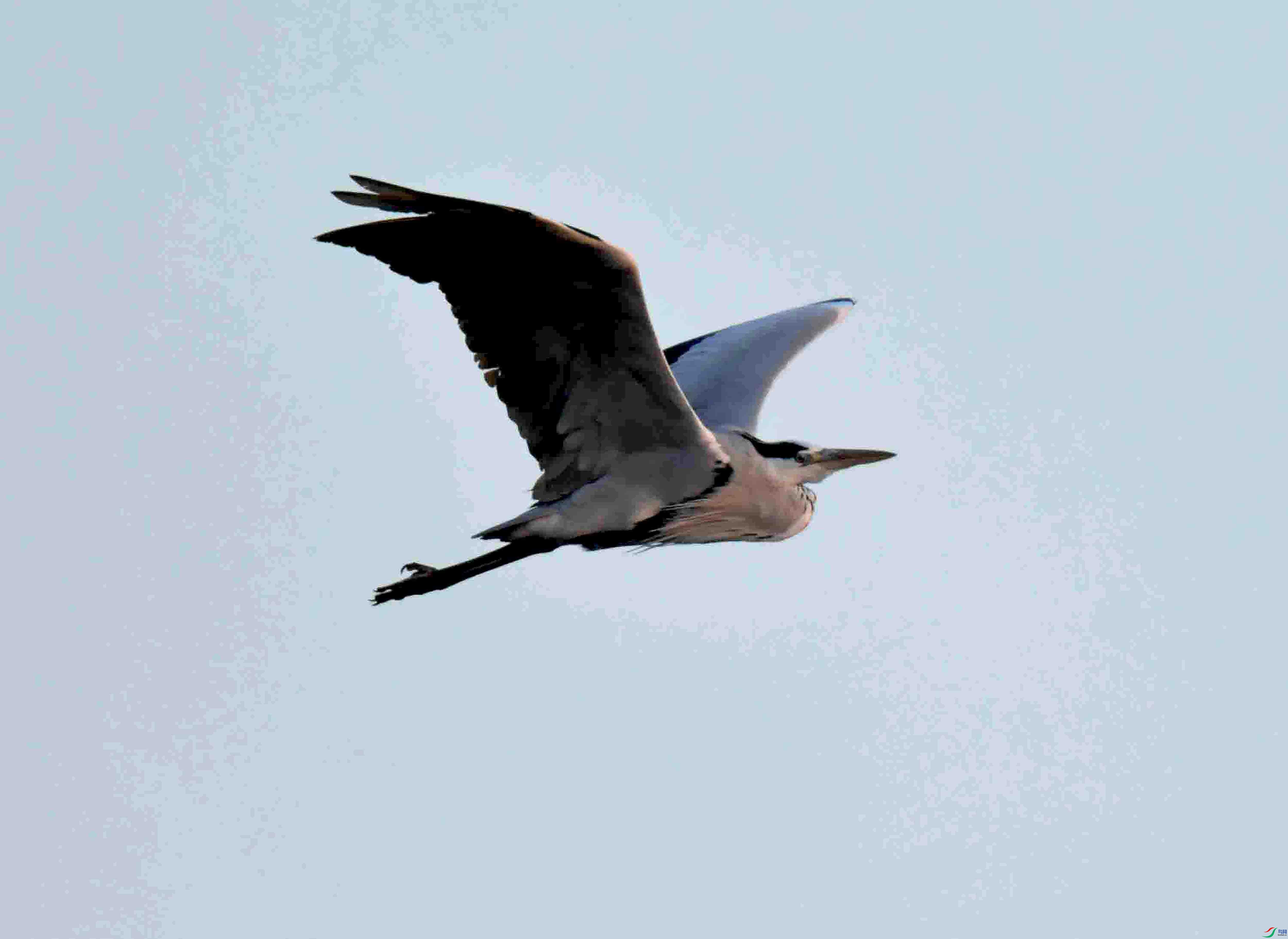 DSC_1436.JPG