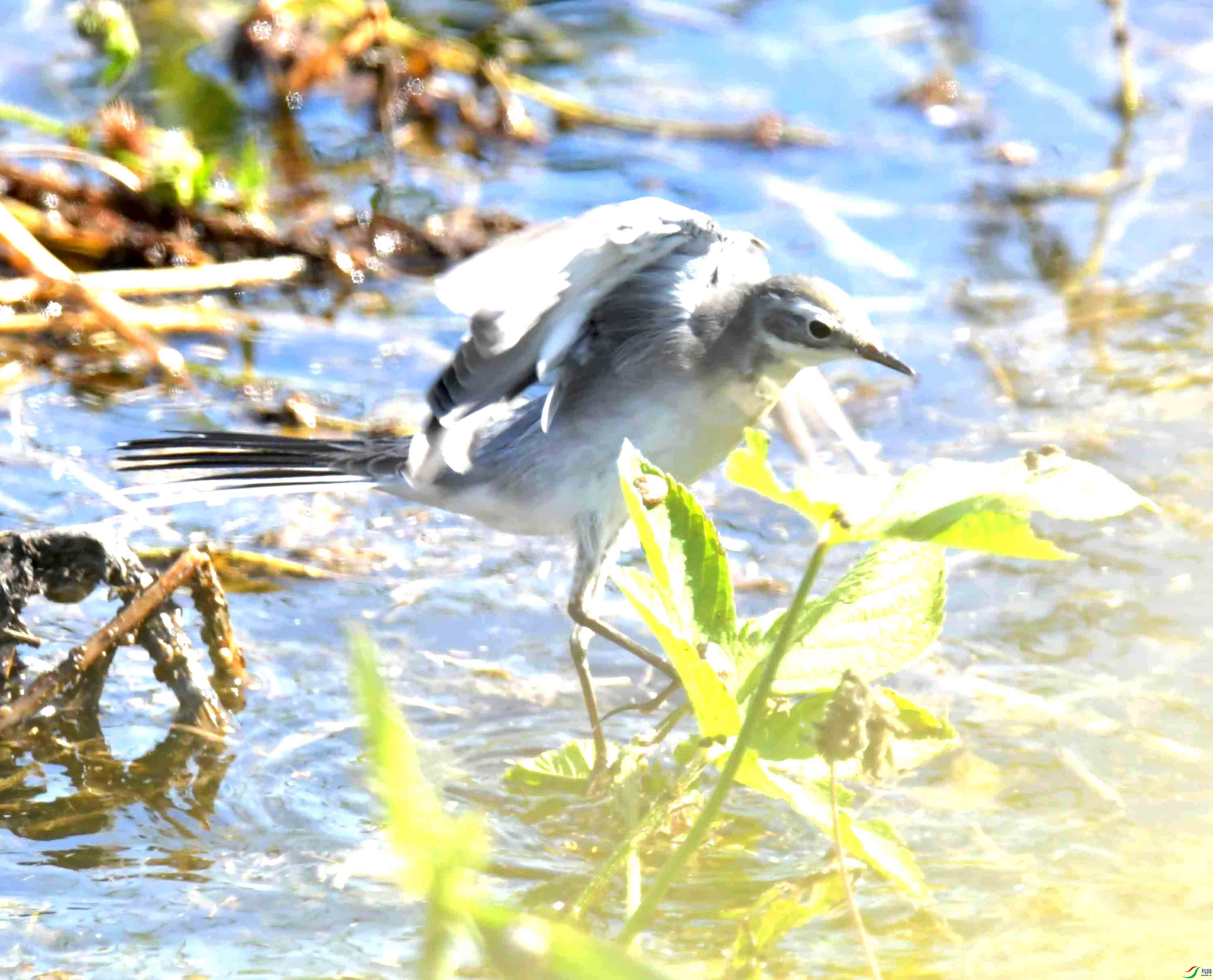 DSC_0015.JPG