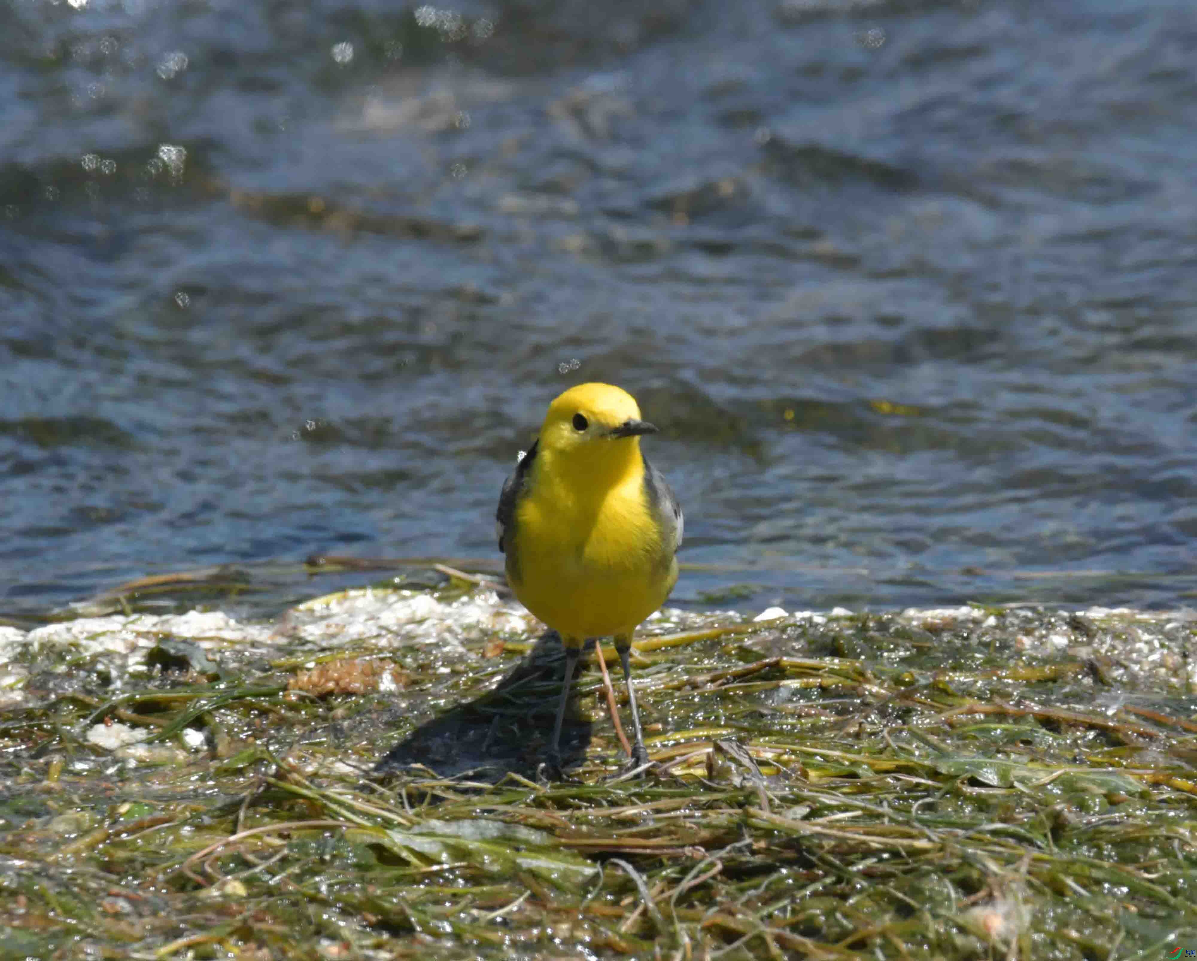 DSC_0120.JPG
