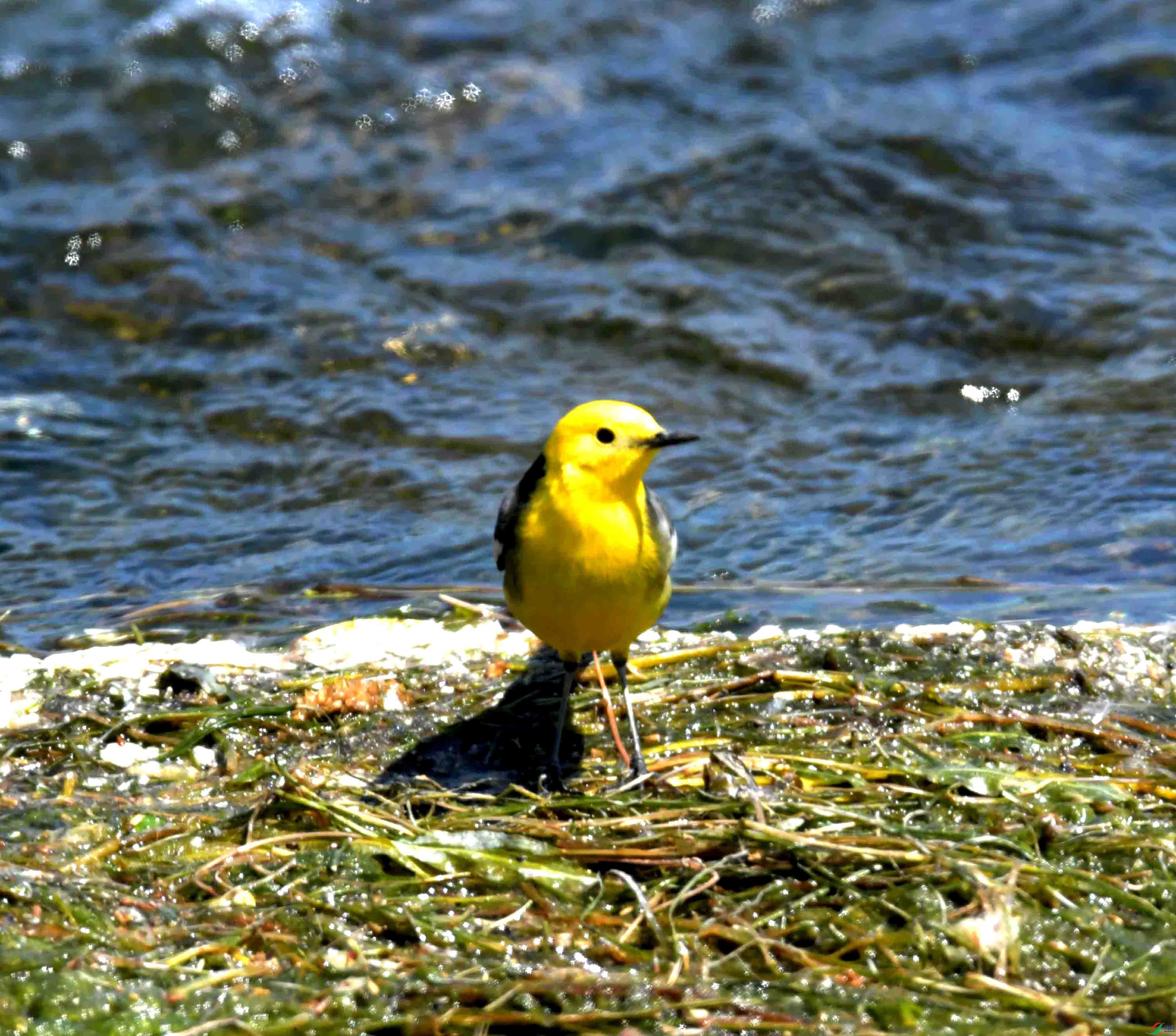 DSC_0121.JPG