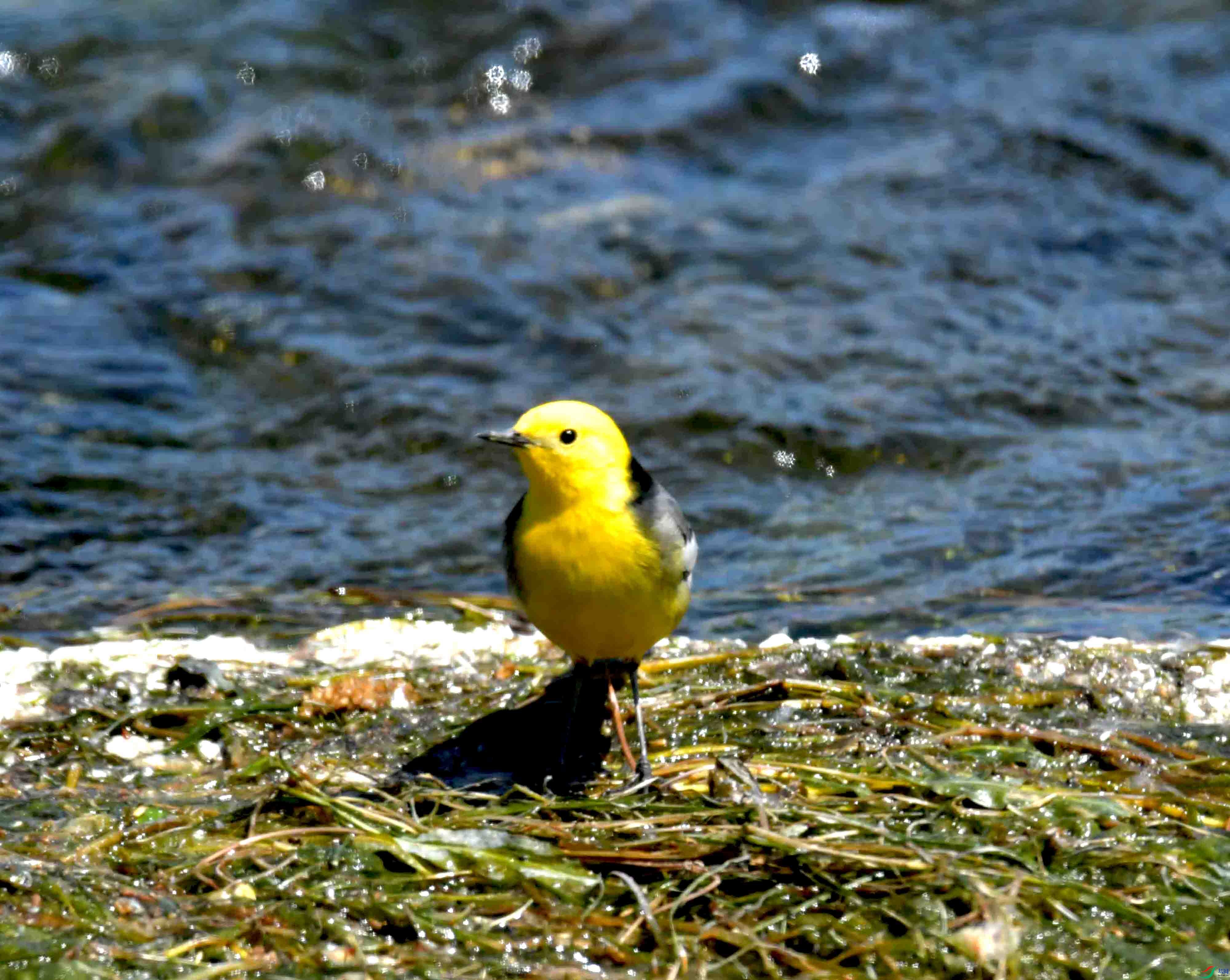 DSC_0123.JPG