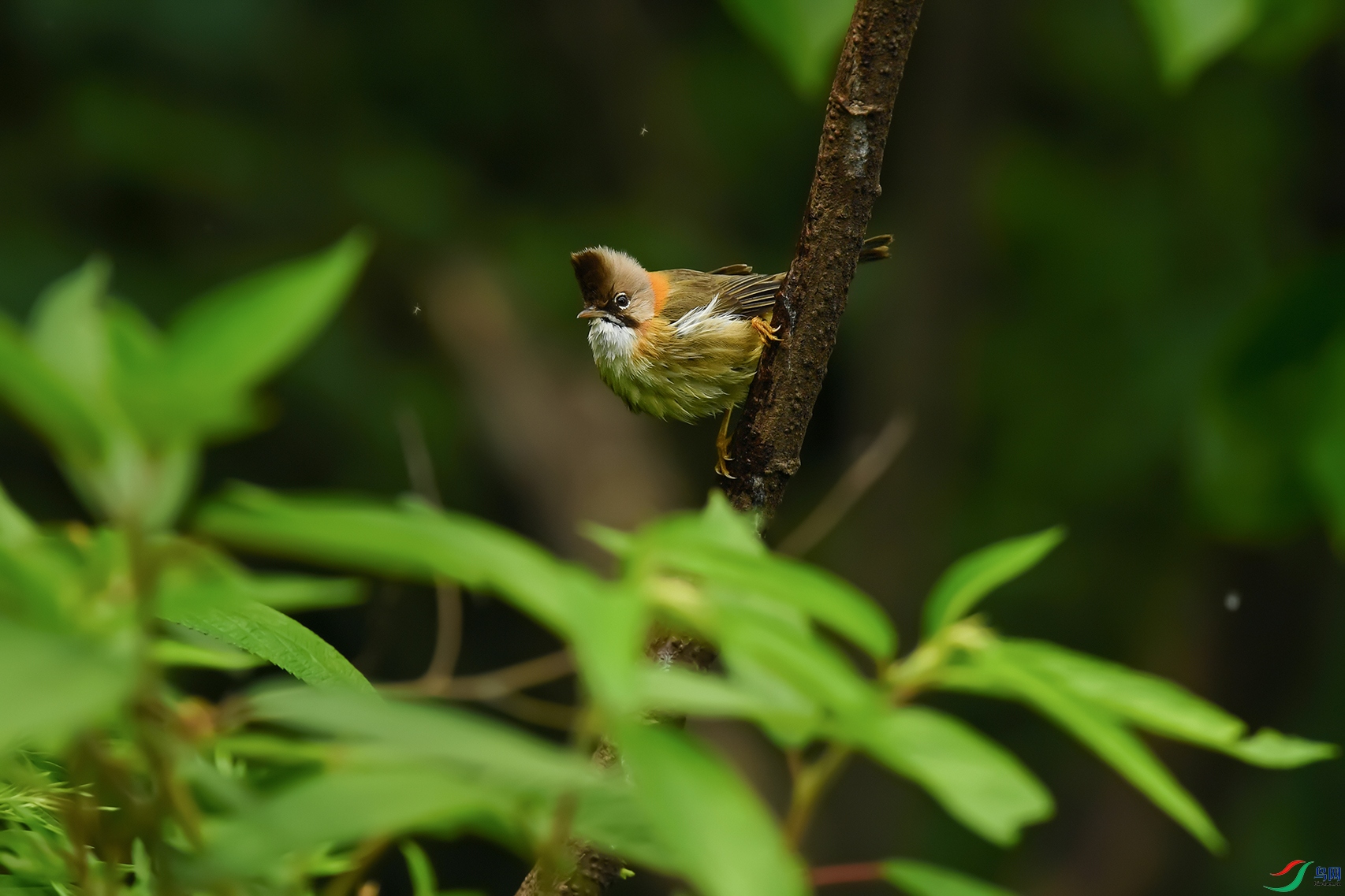 DSC_4076_DxOa.jpg