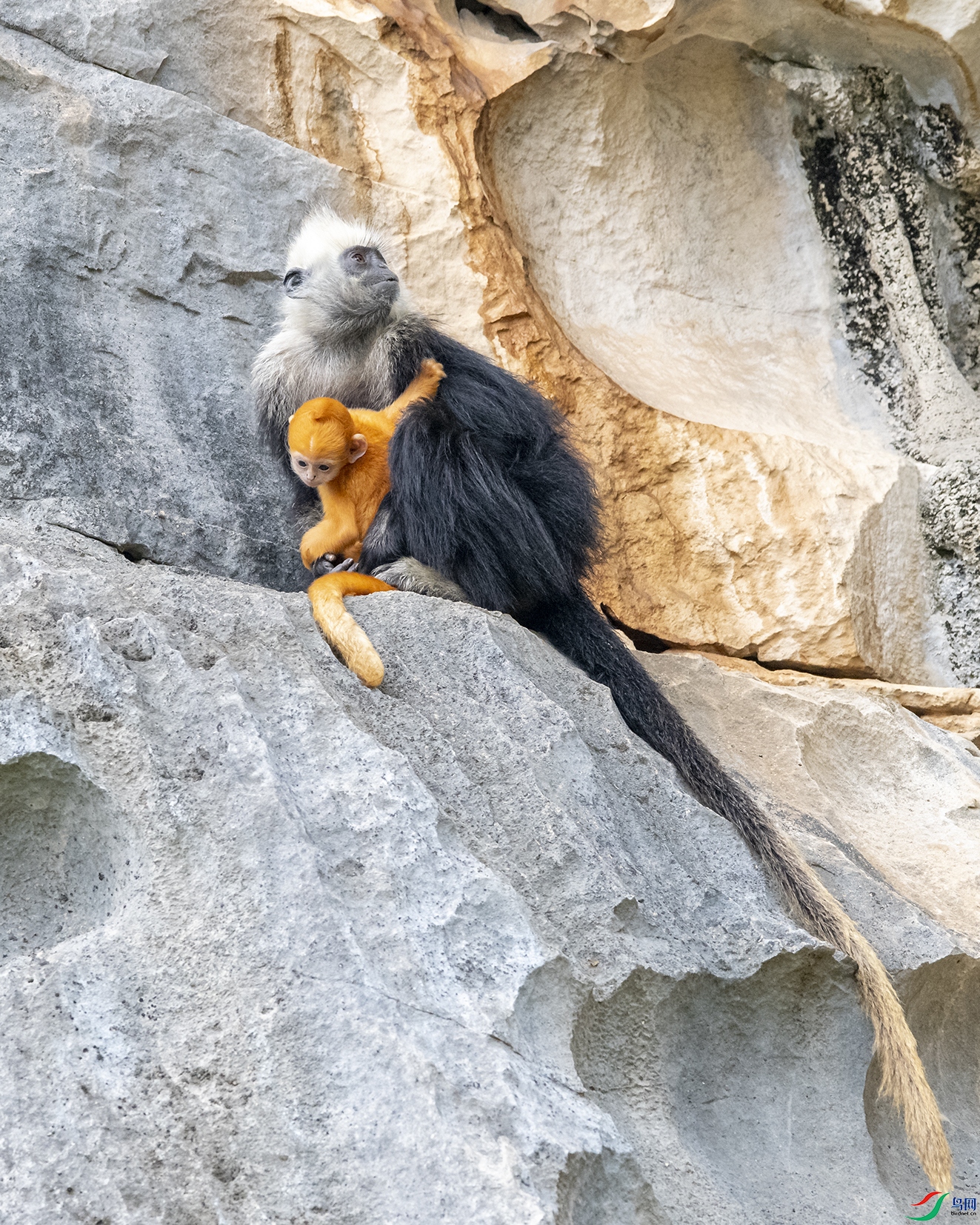 1862 ����.jpg