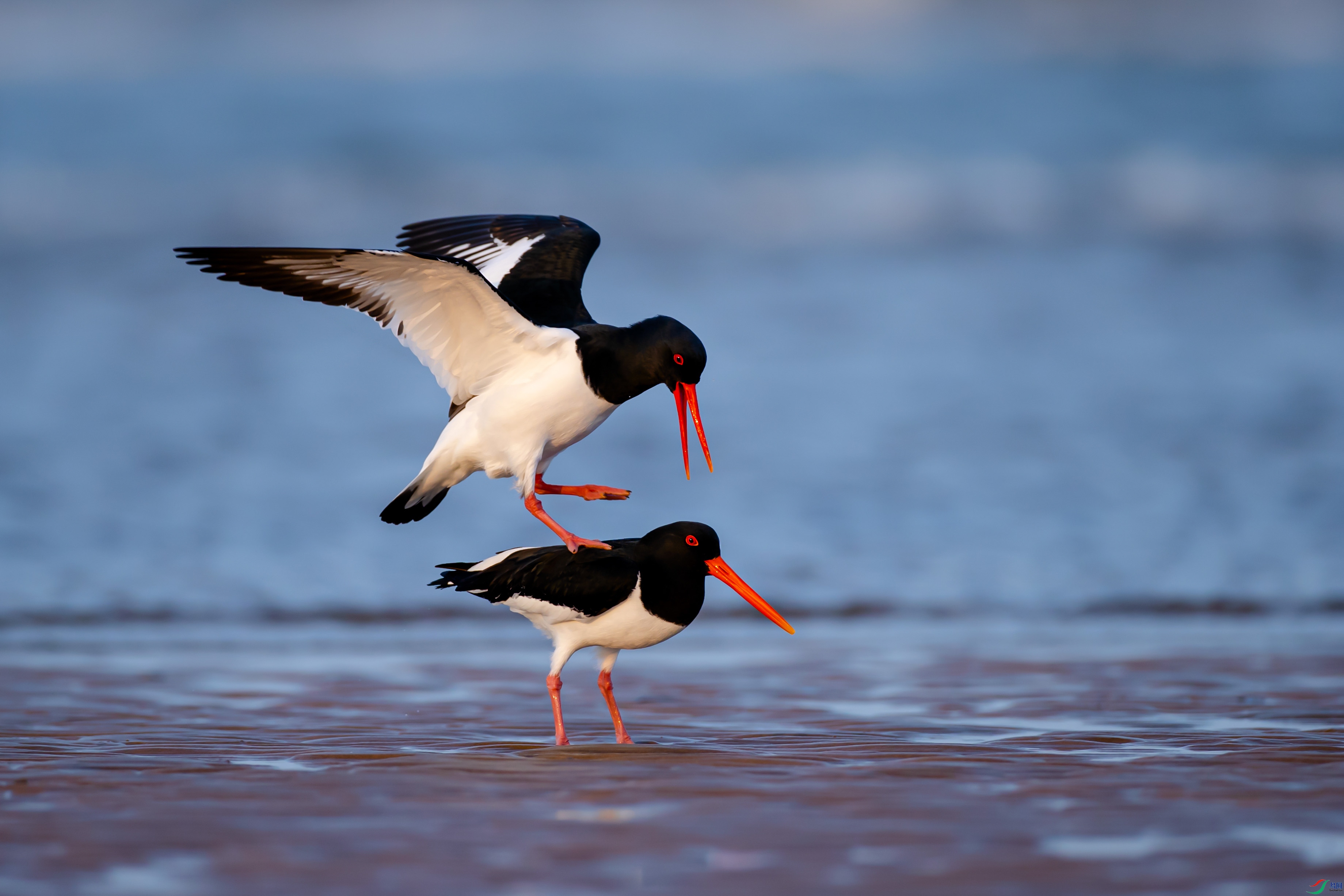 A05I1784����2.jpg