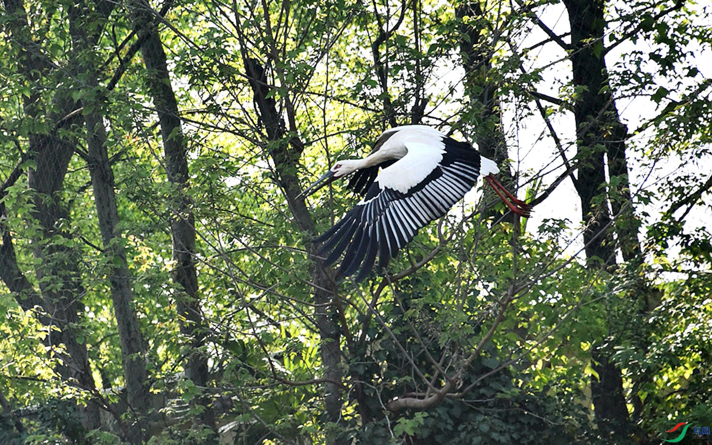 310 (62)_����.jpg