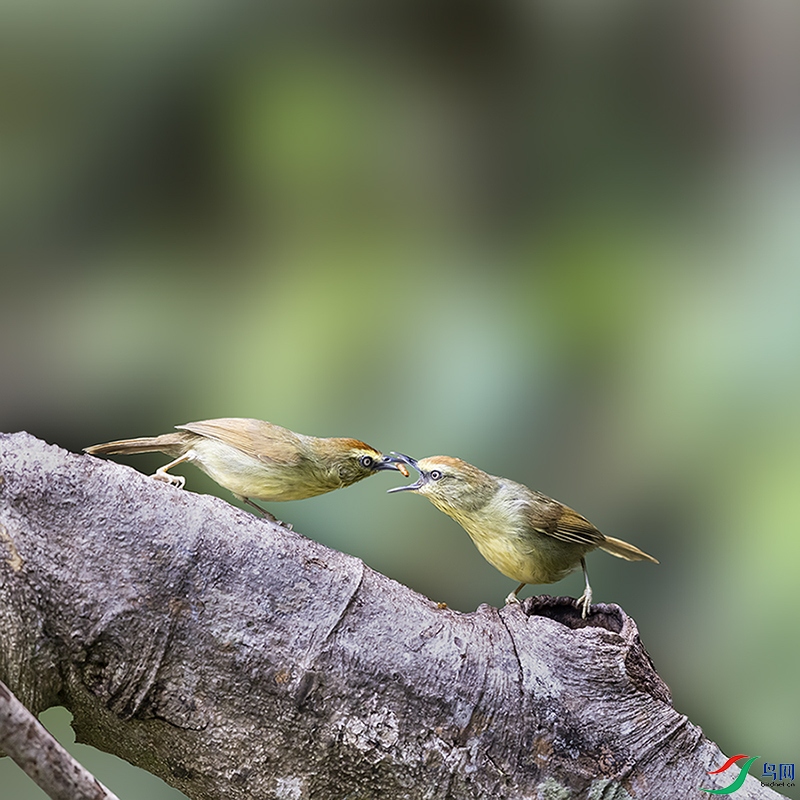 2F5A0379 ����.psd2 ����.jpg22.jpg