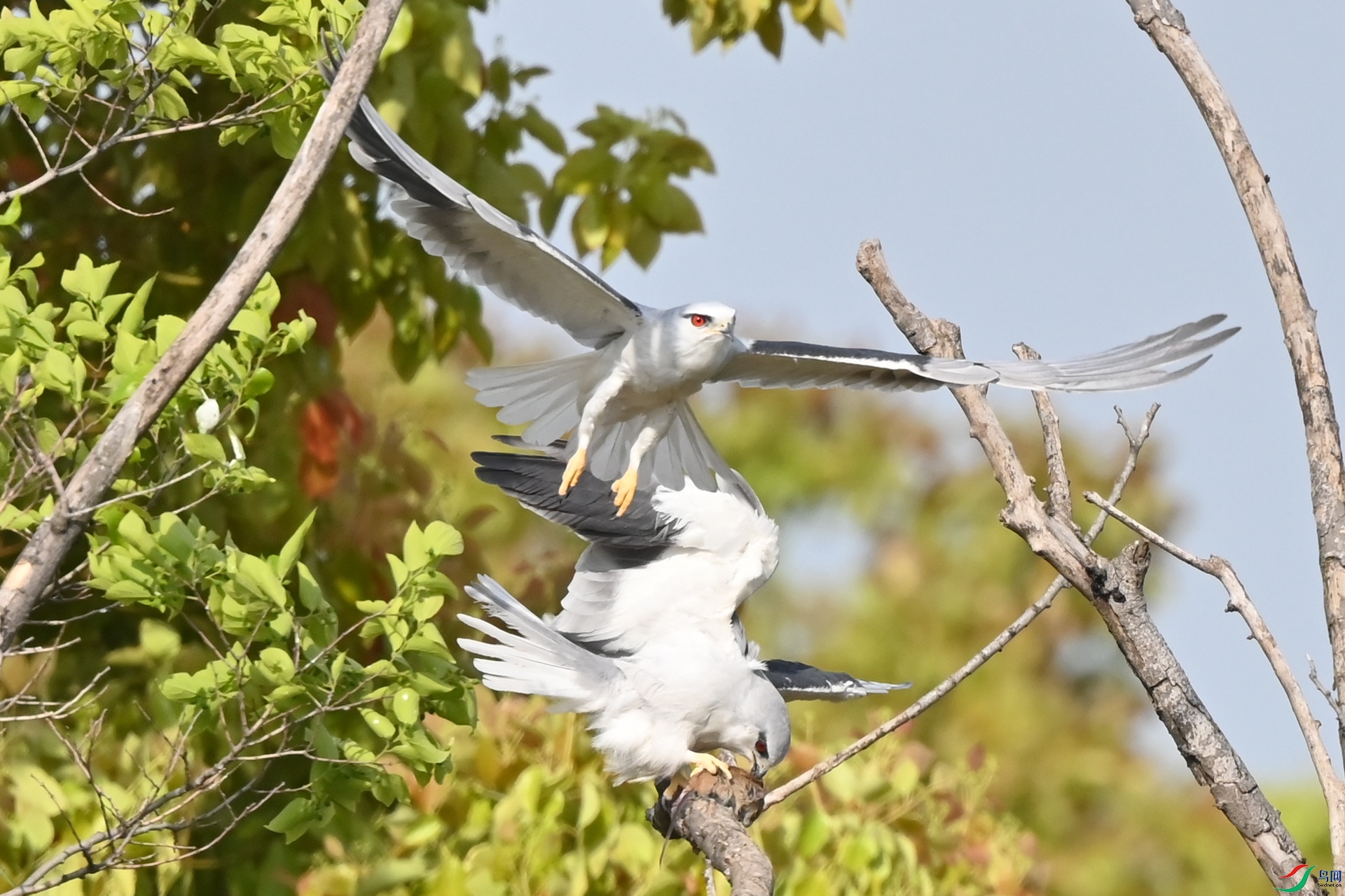 DSC_0304.JPG