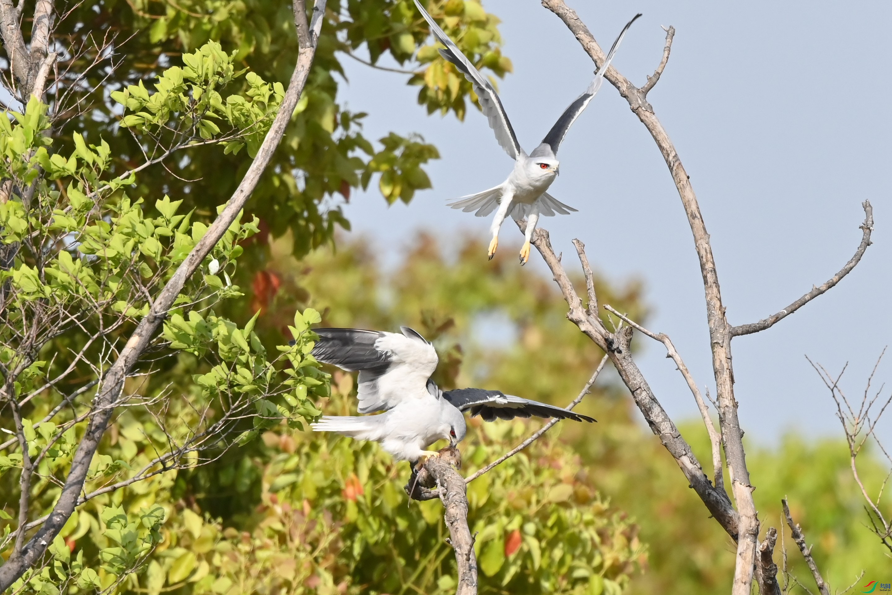 DSC_0307.JPG