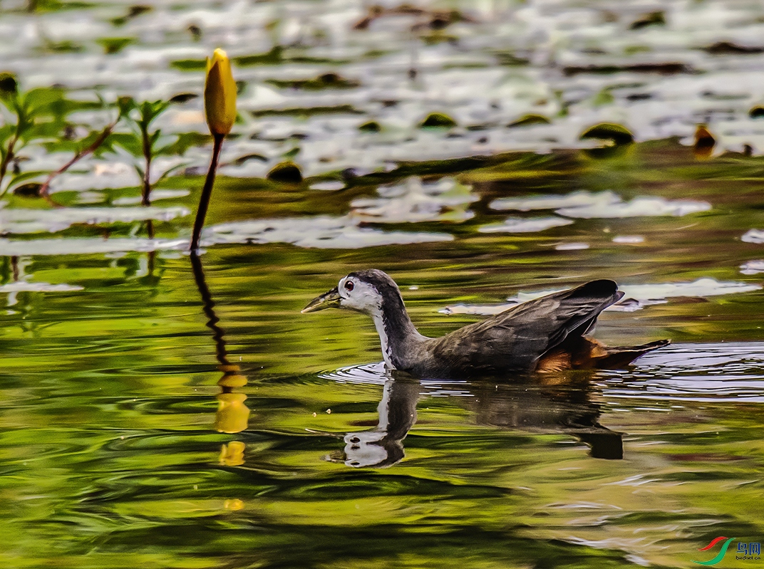 DSC_2776.jpg