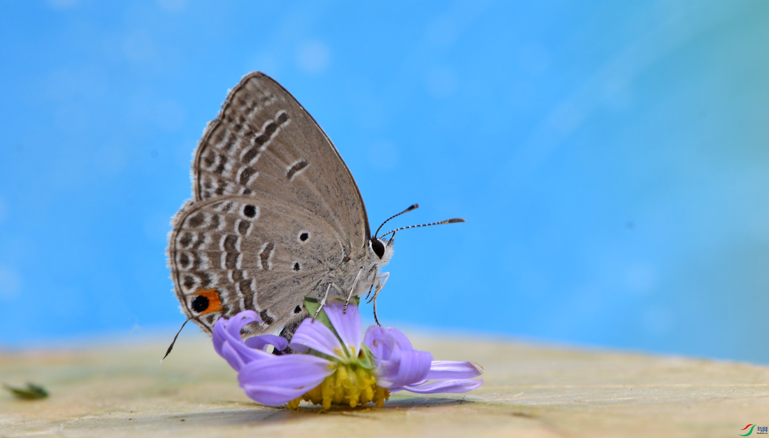 MOO_5923_����.jpg