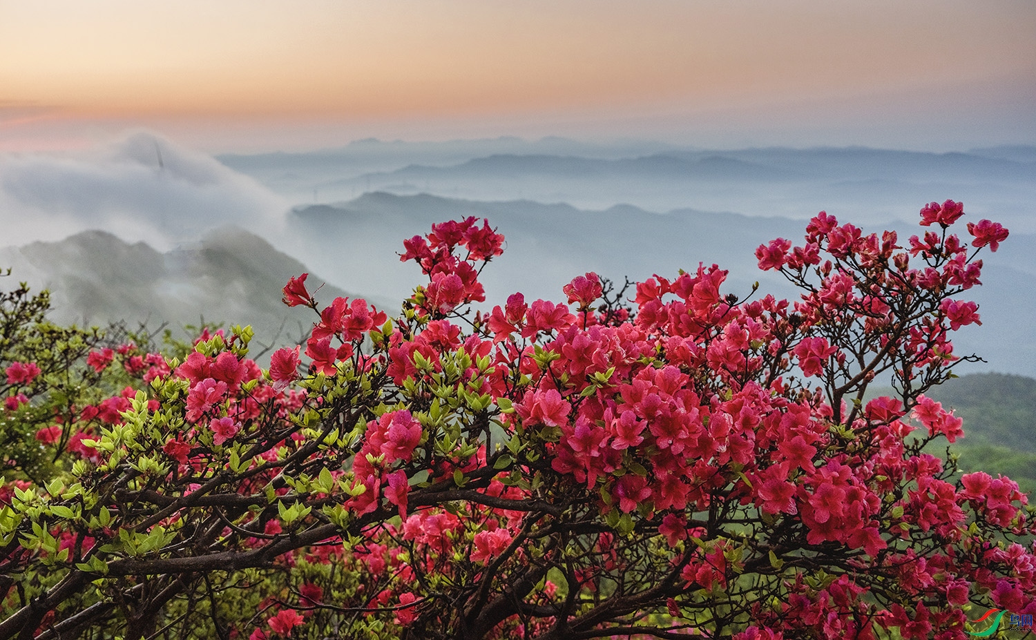 DSCF3034 ���� 2.jpg