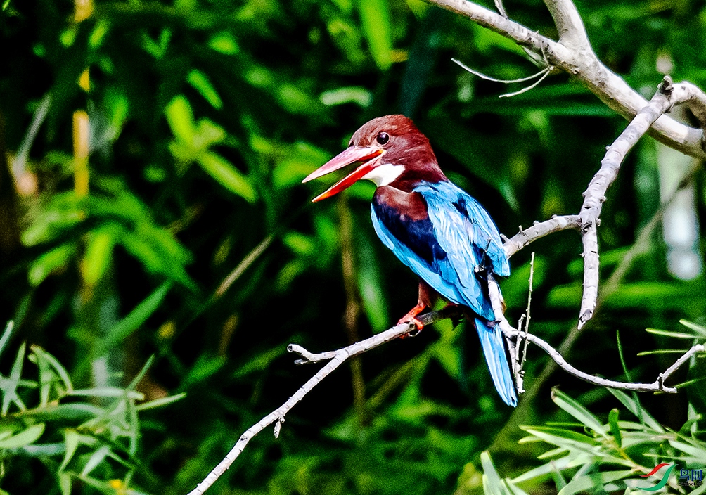 DSC_6414.jpg