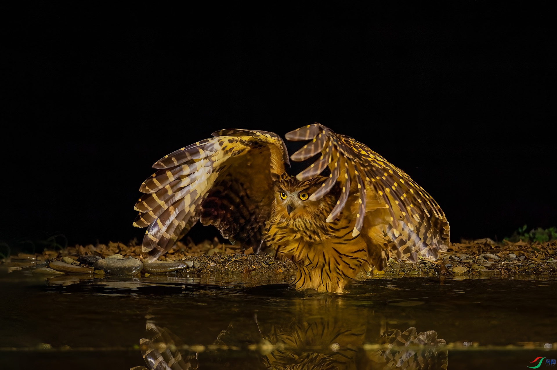 DSC_4034-1.jpg