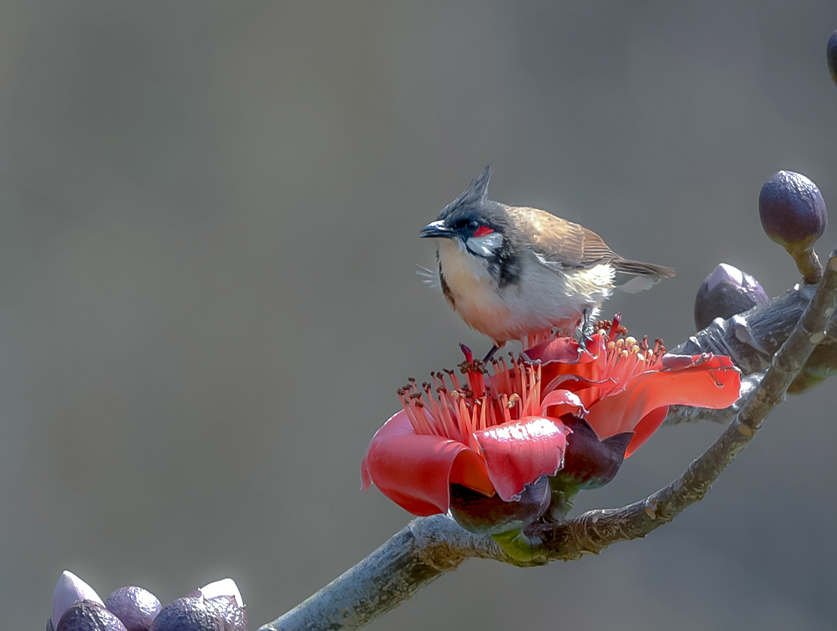 DSC_1574.JPG
