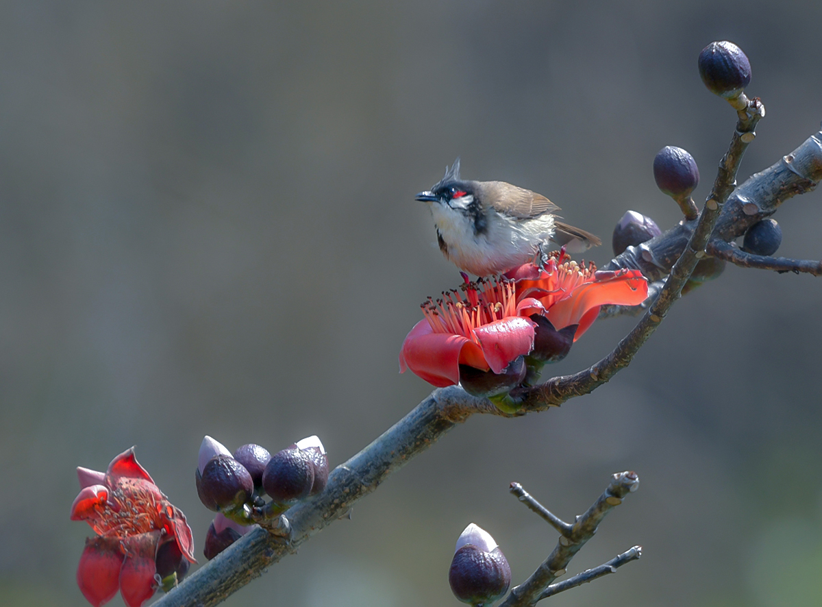 DSC_1580.JPG