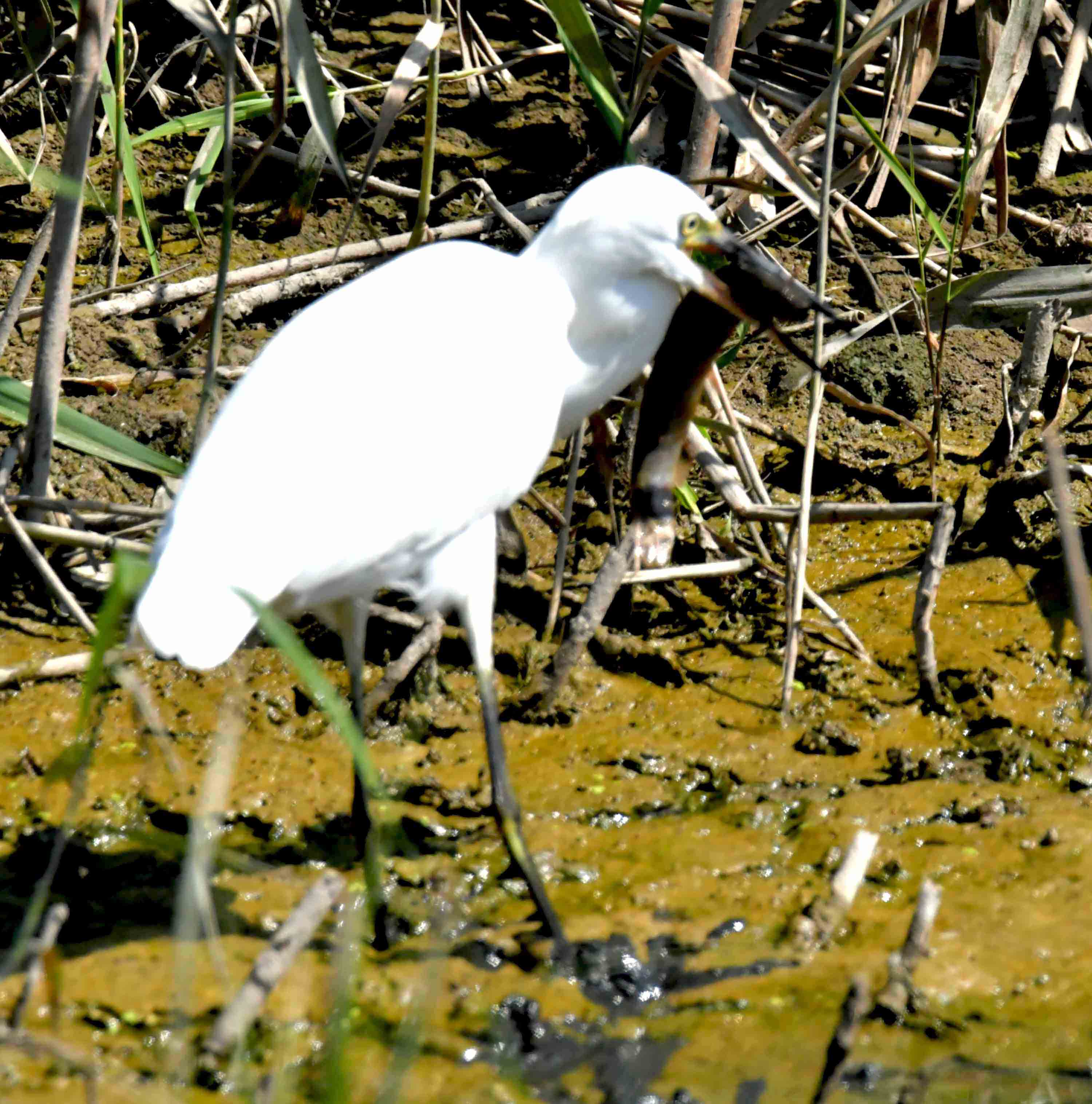 DSC_1969.JPG