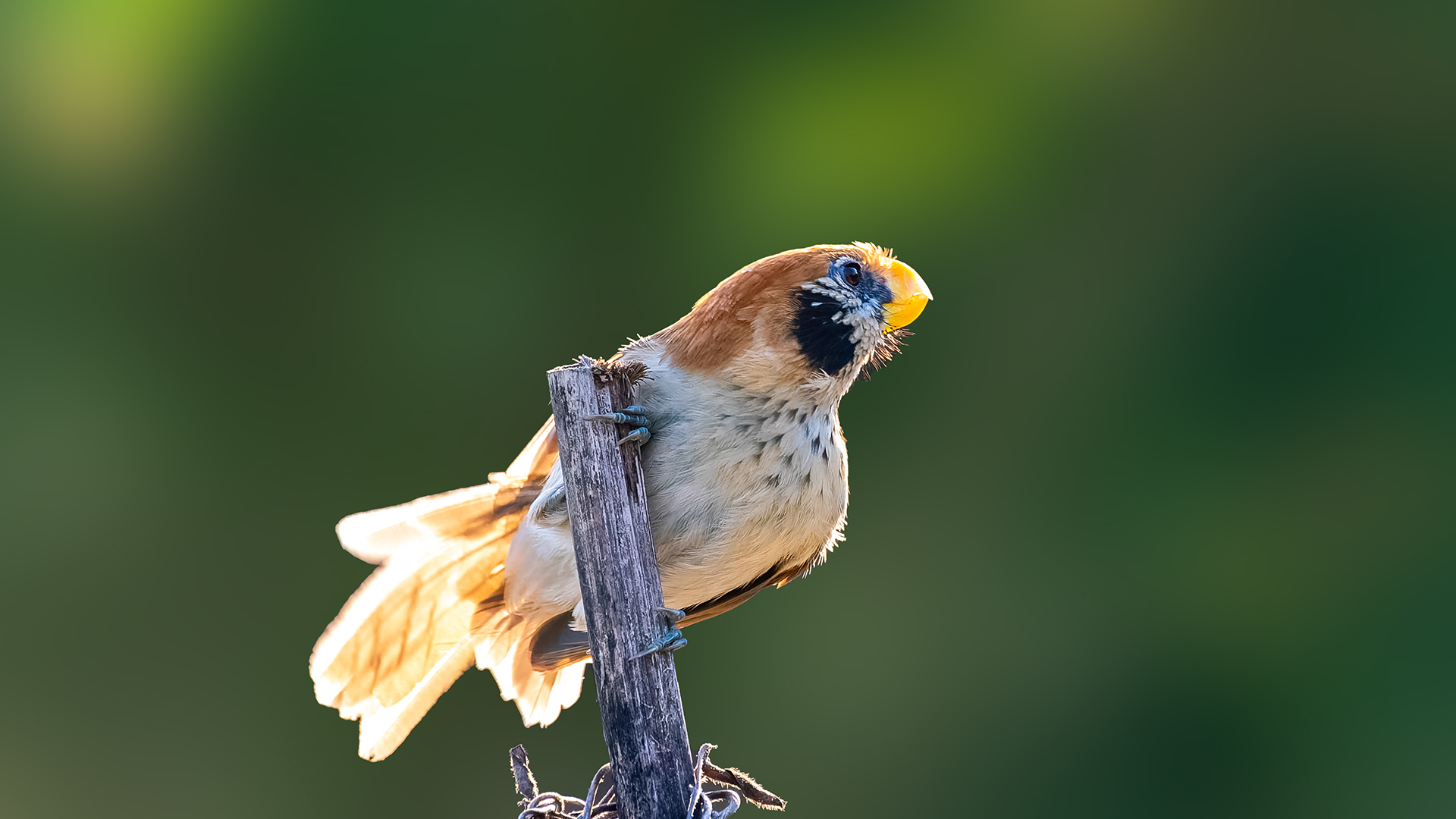 DSC_0287.jpg