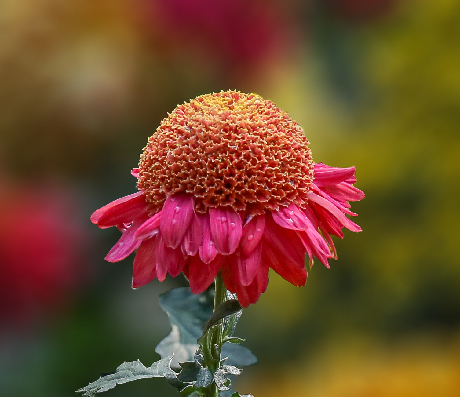 00075583A0365 ��ǹ�й�1000k.jpg