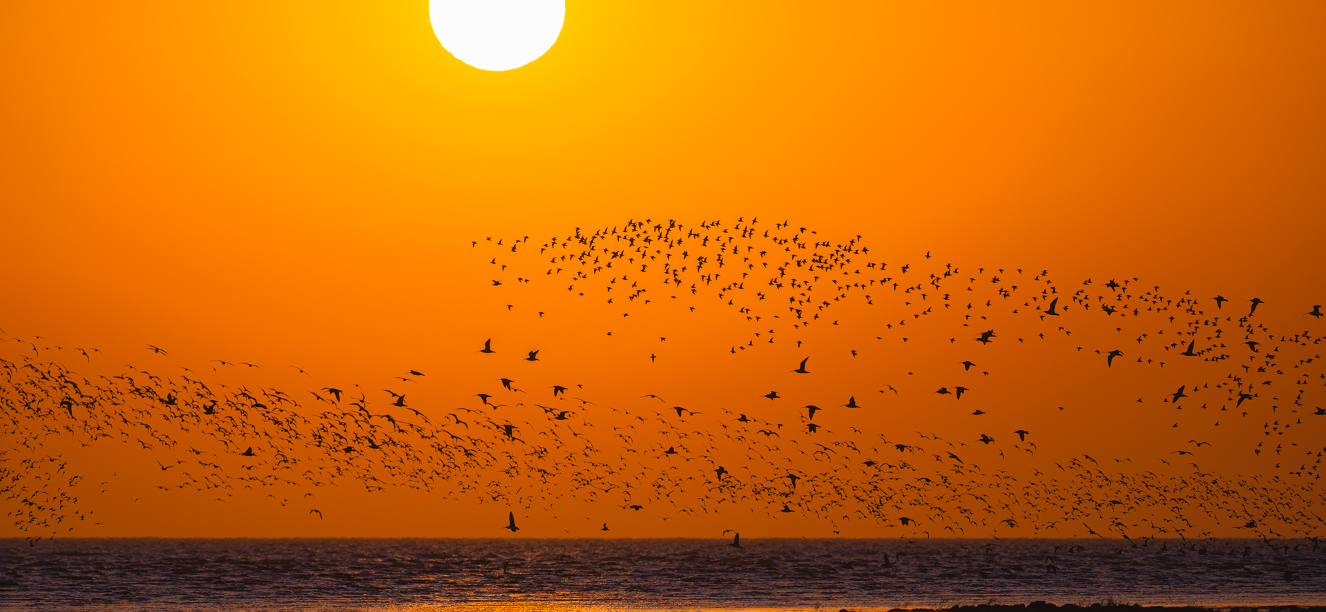 DSC_3959==1w.jpg