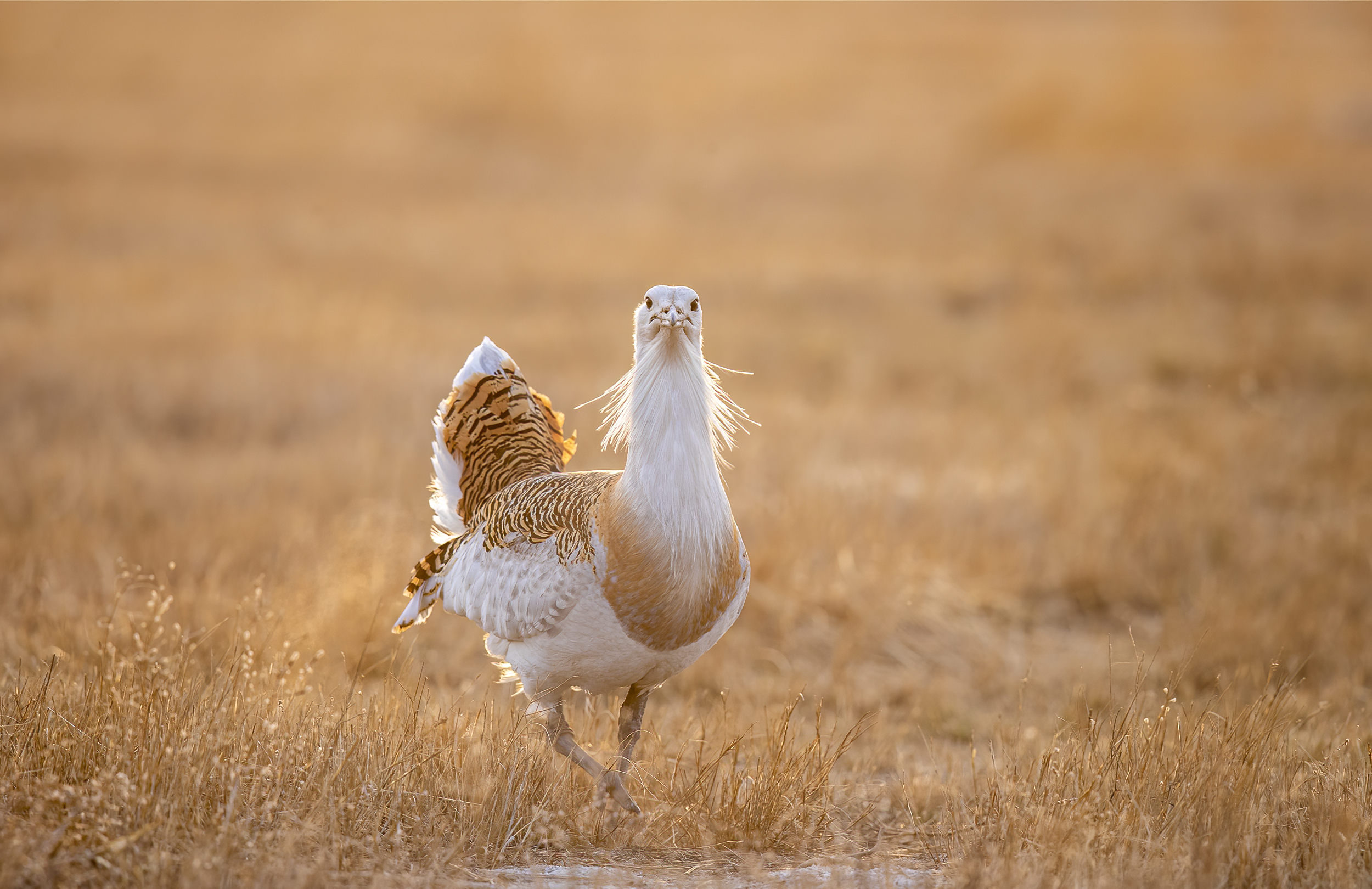 AC3I3515 ���� 2.jpg