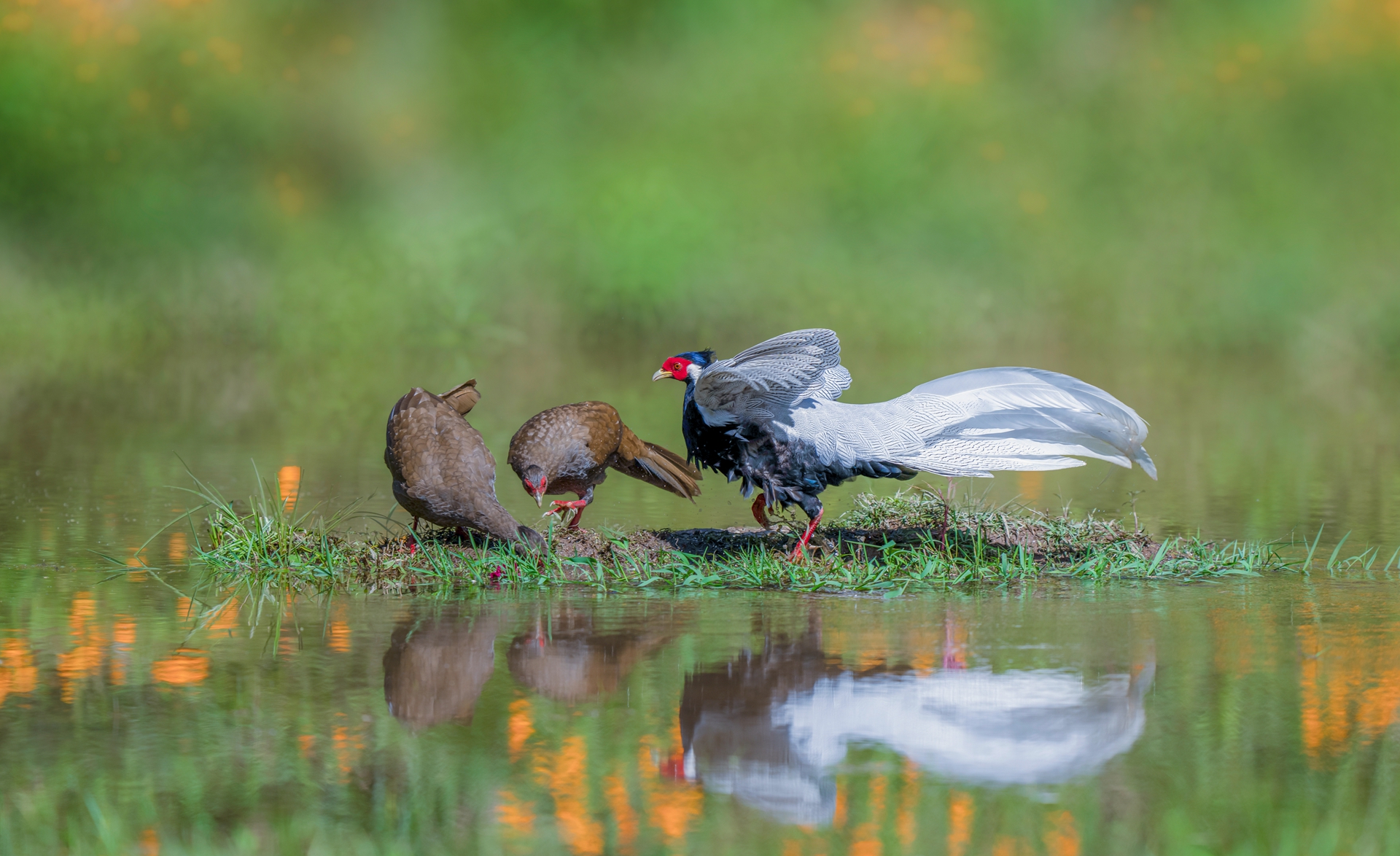 ����������DSC05057-1920 .jpg