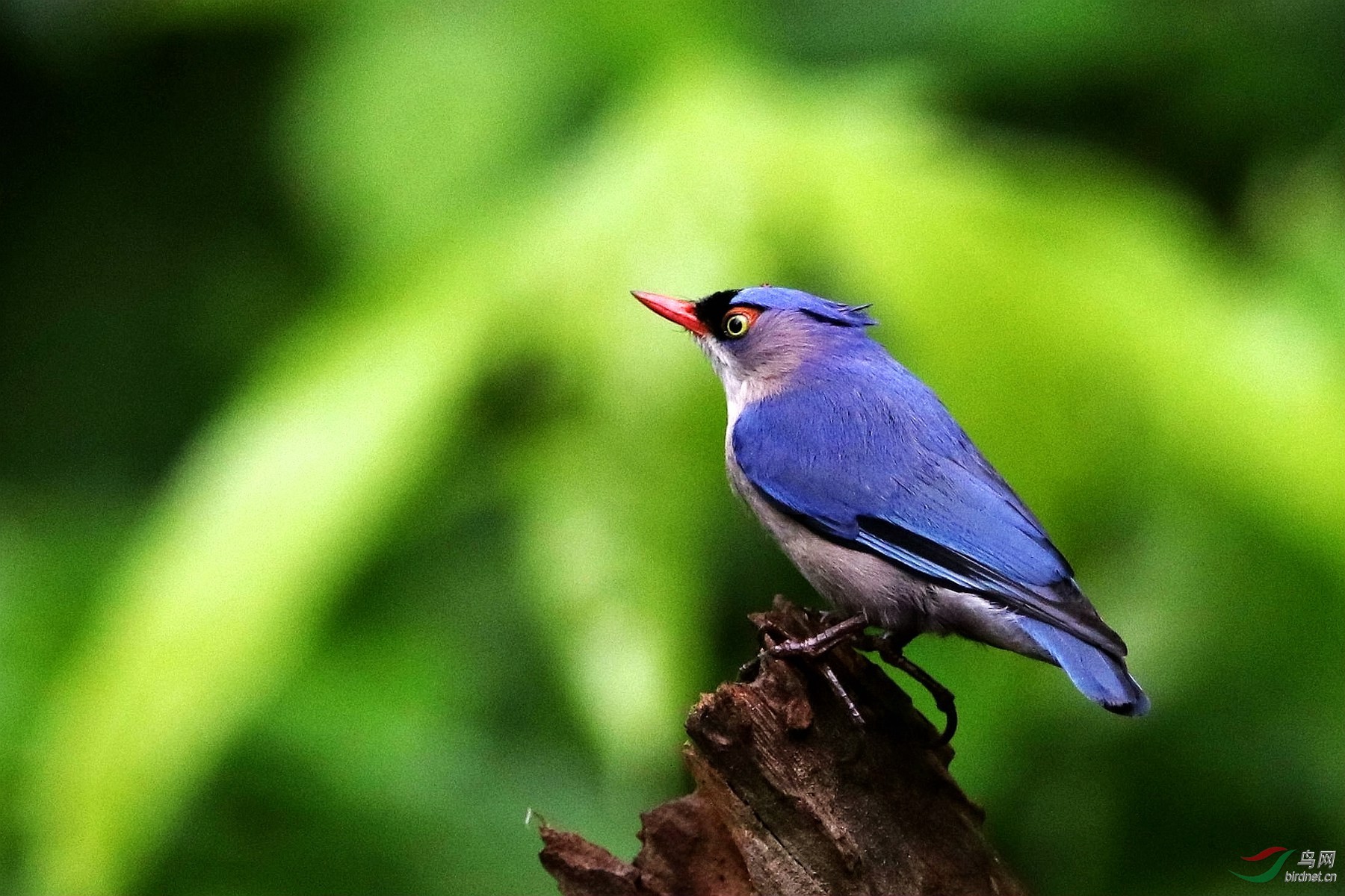 205 ����.jpg