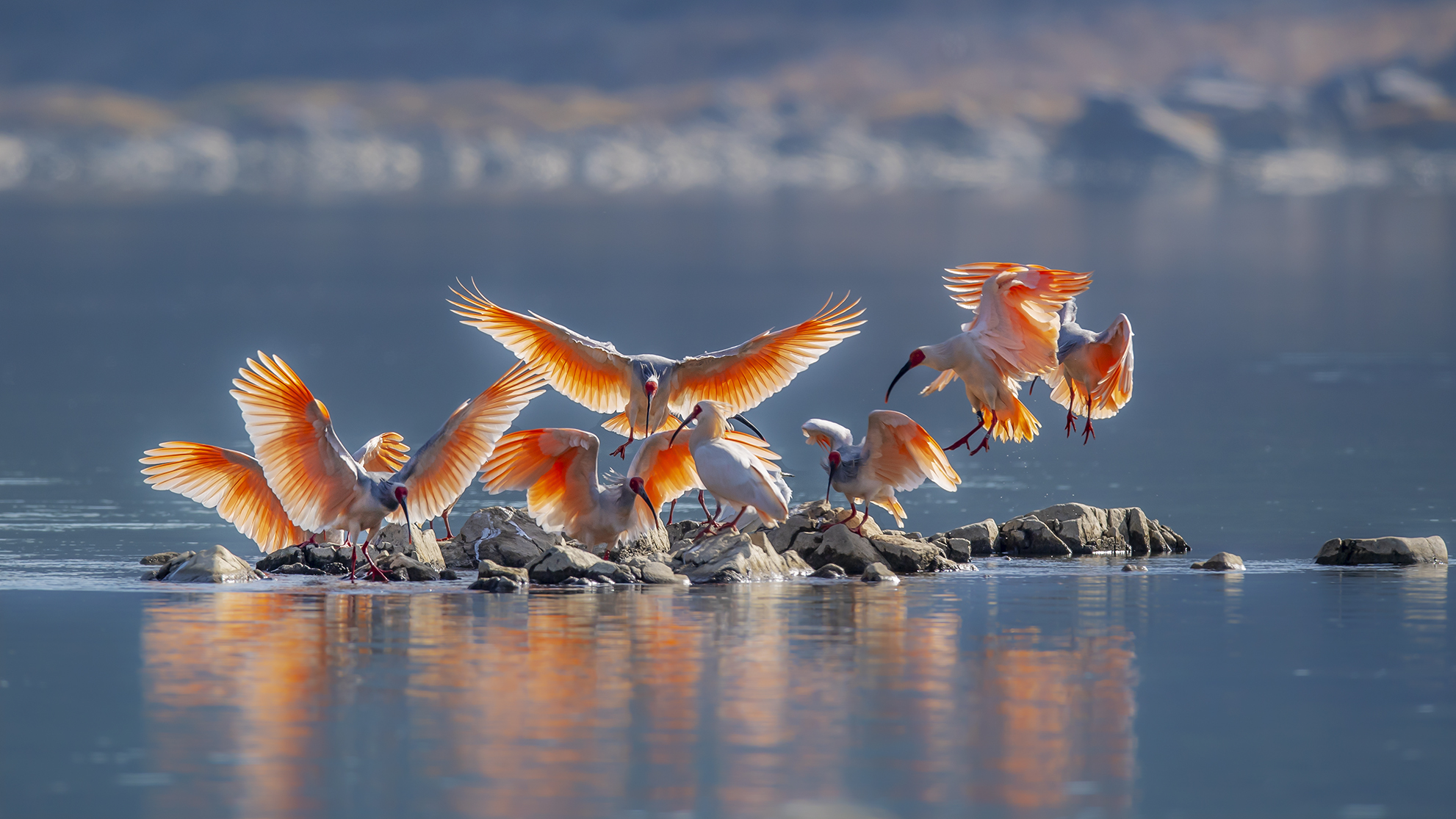 _DSC3354   �ѷ���.jpg