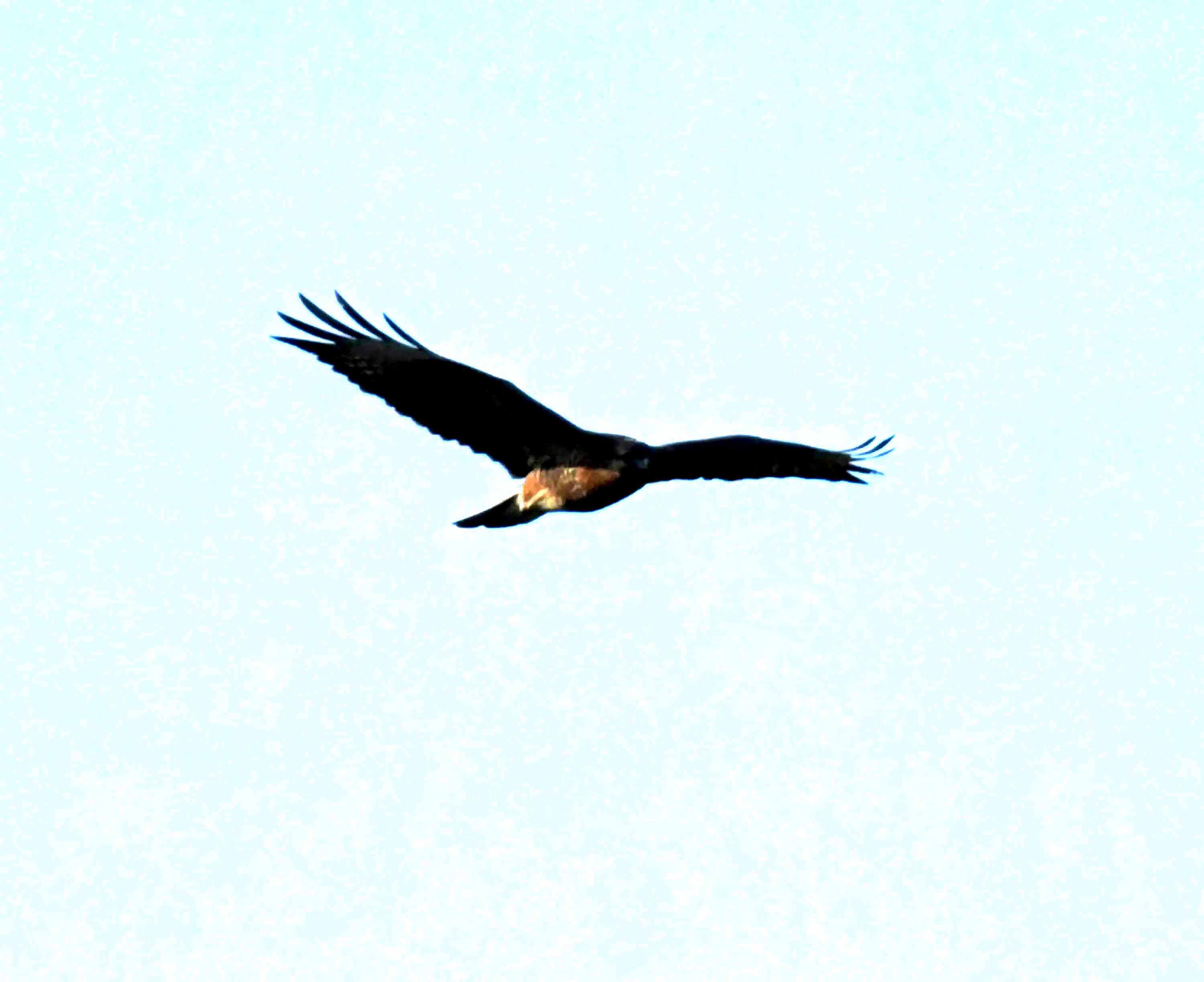 DSC_0852.JPG