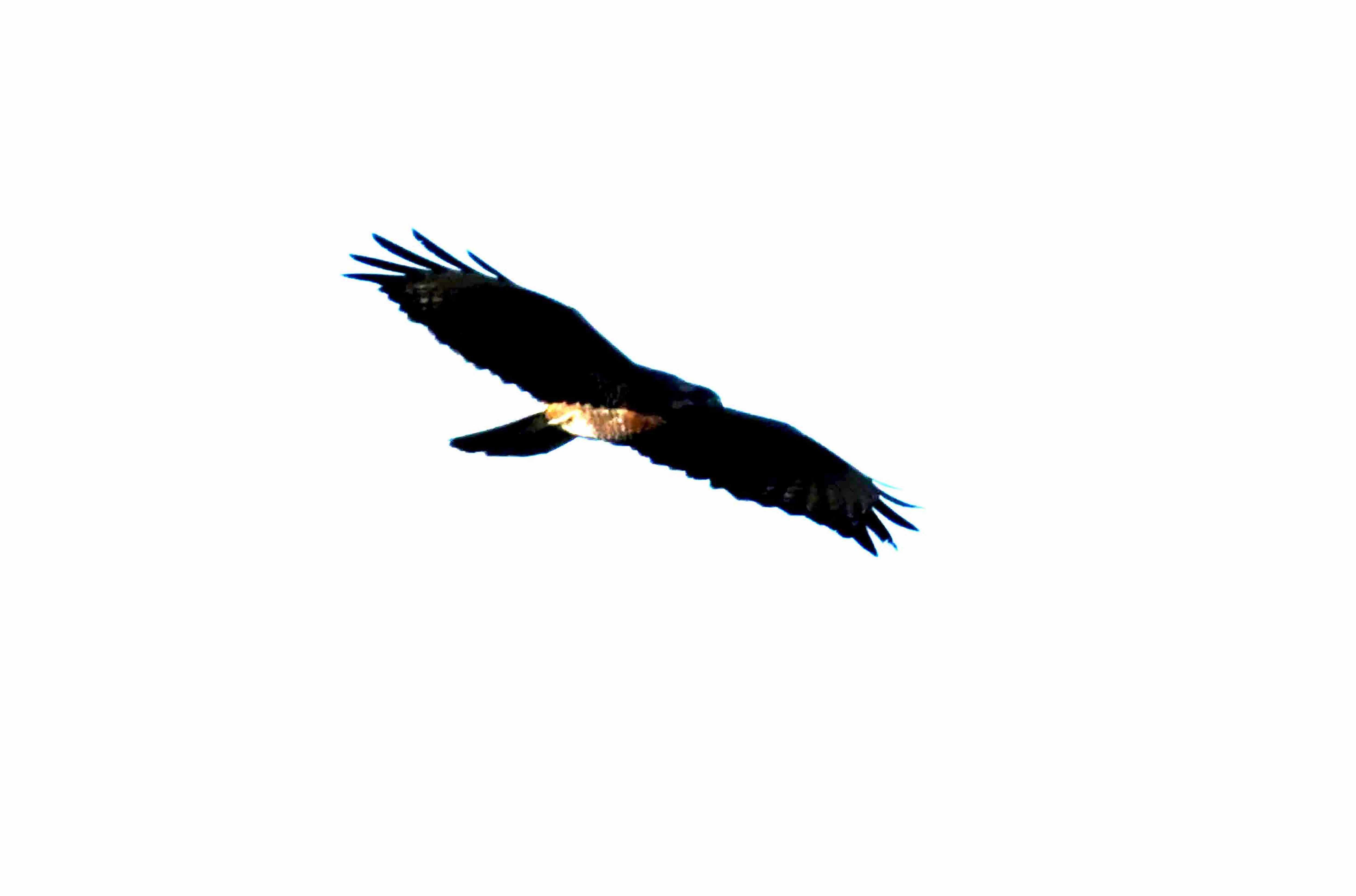 DSC_0857.JPG