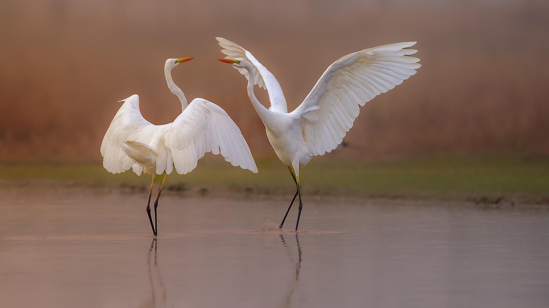 ����֮��