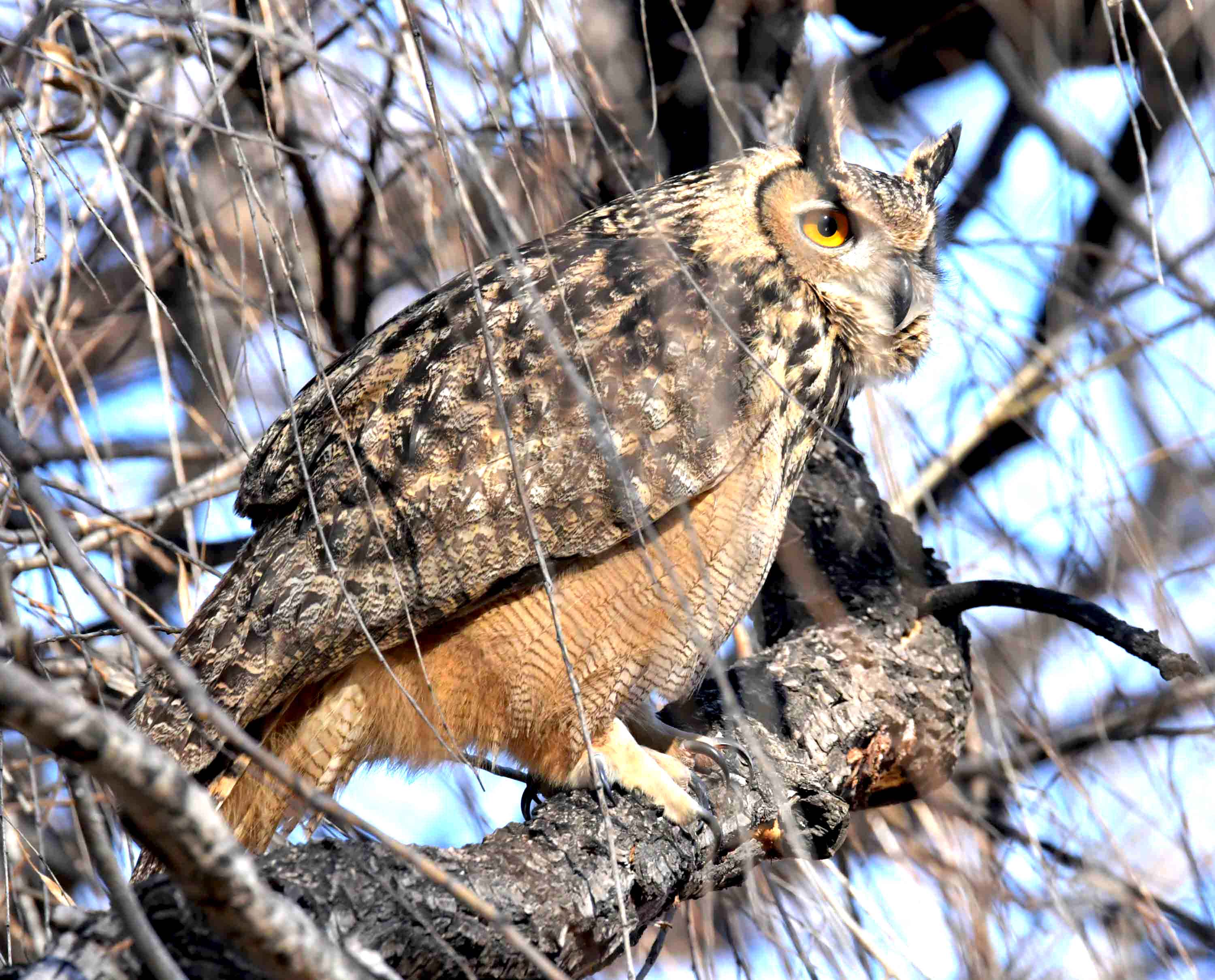 DSC_6061.JPG