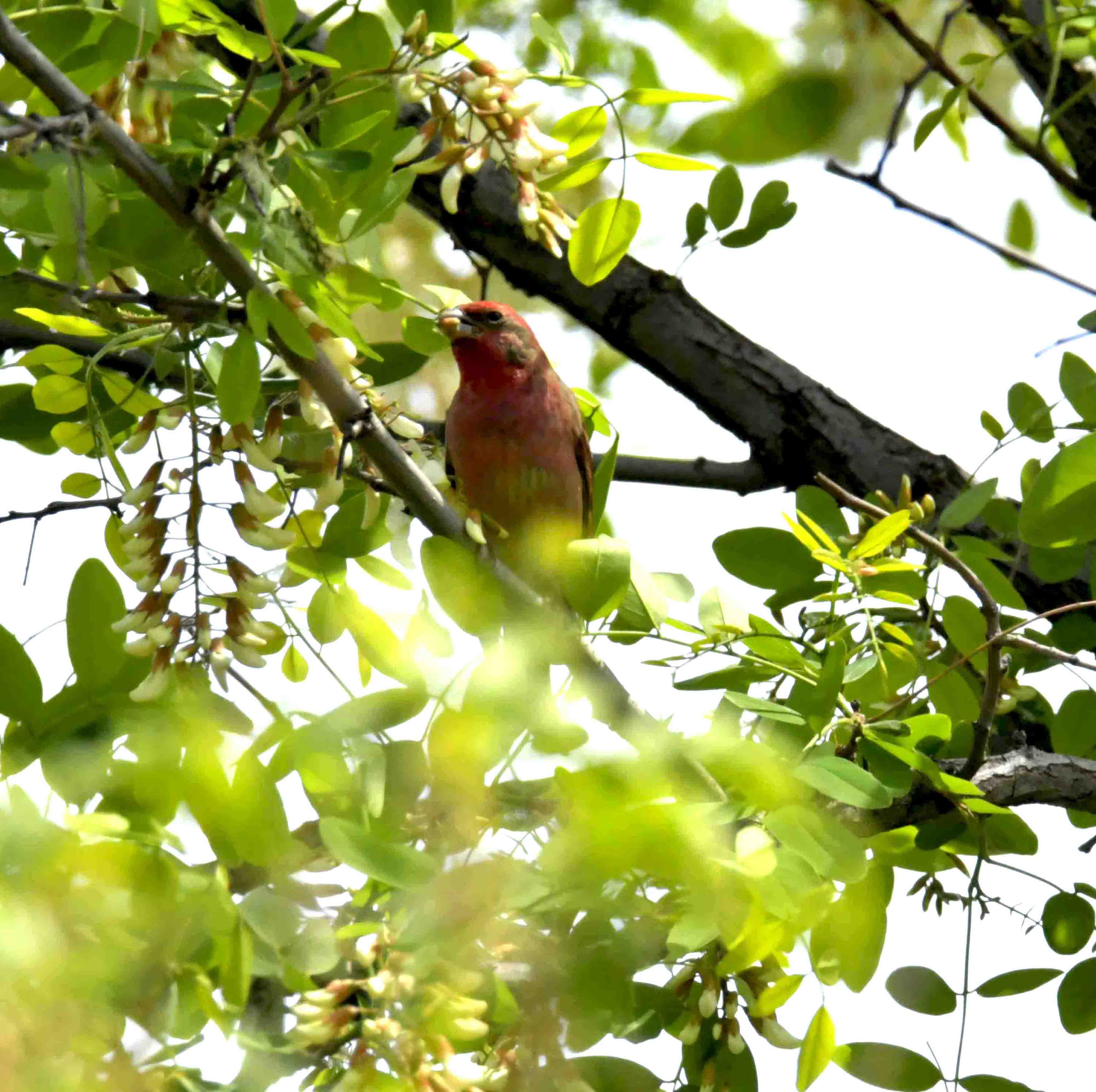 DSC_8333.JPG