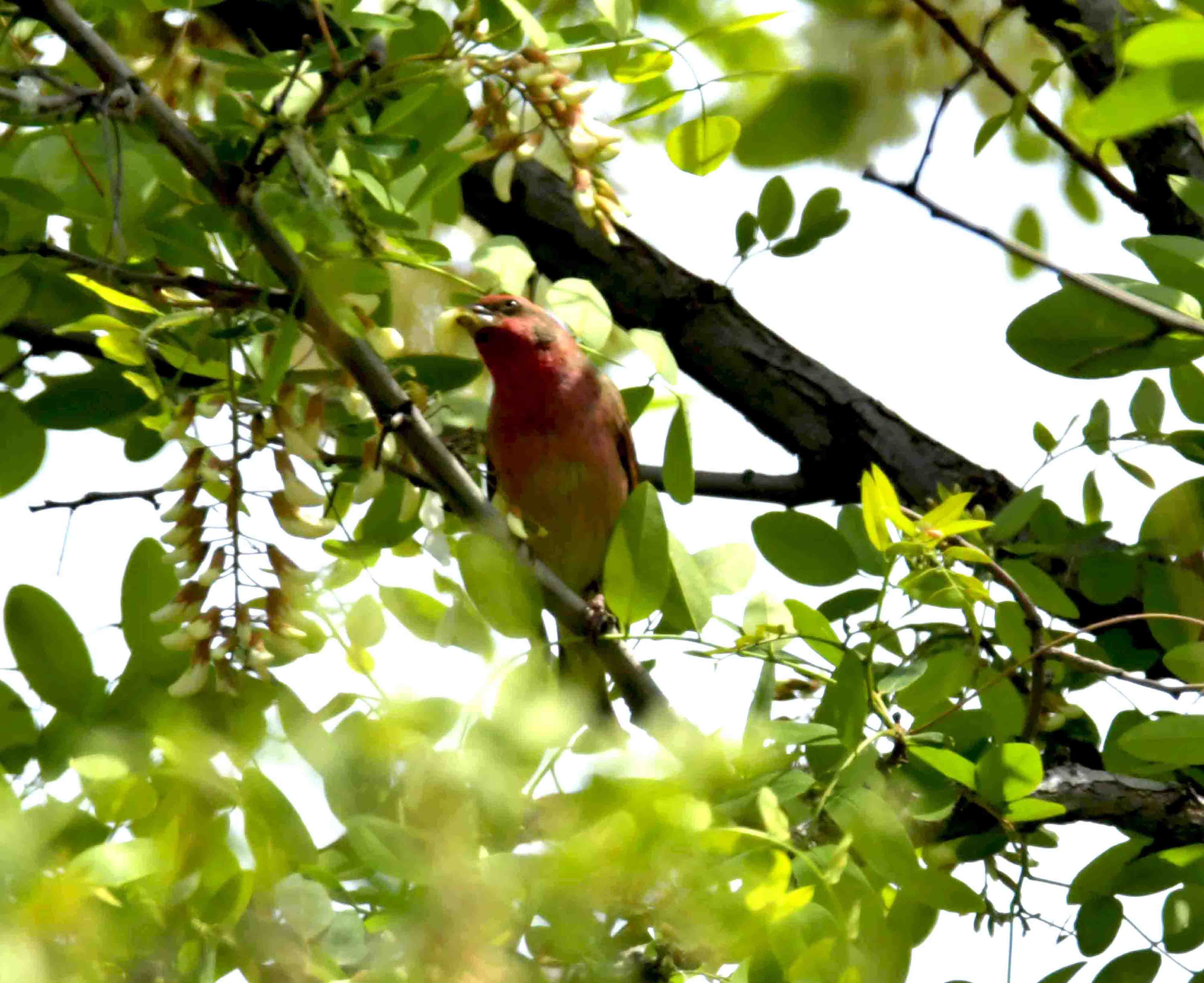 DSC_8344.JPG