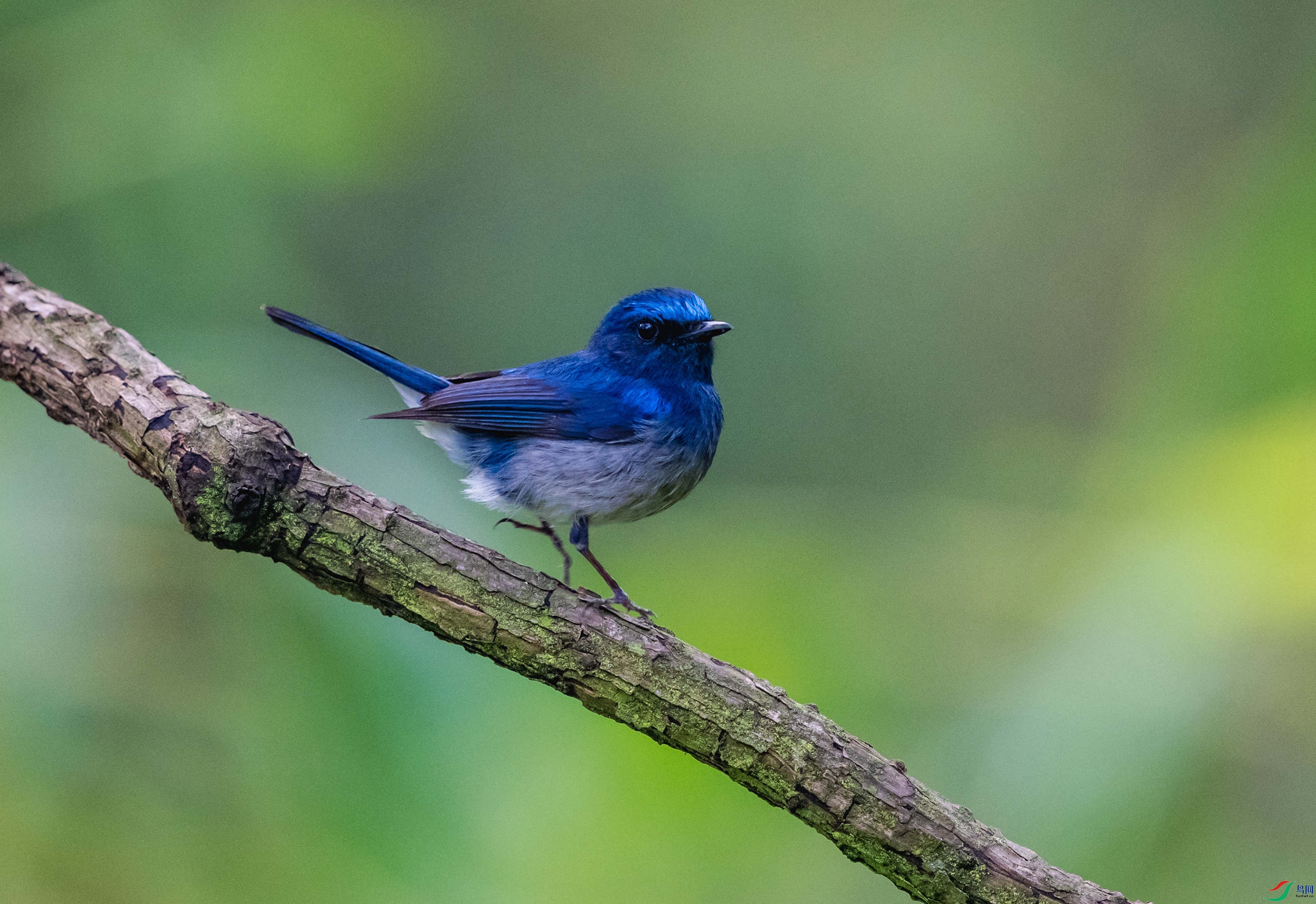 _DSC4603_1.jpg