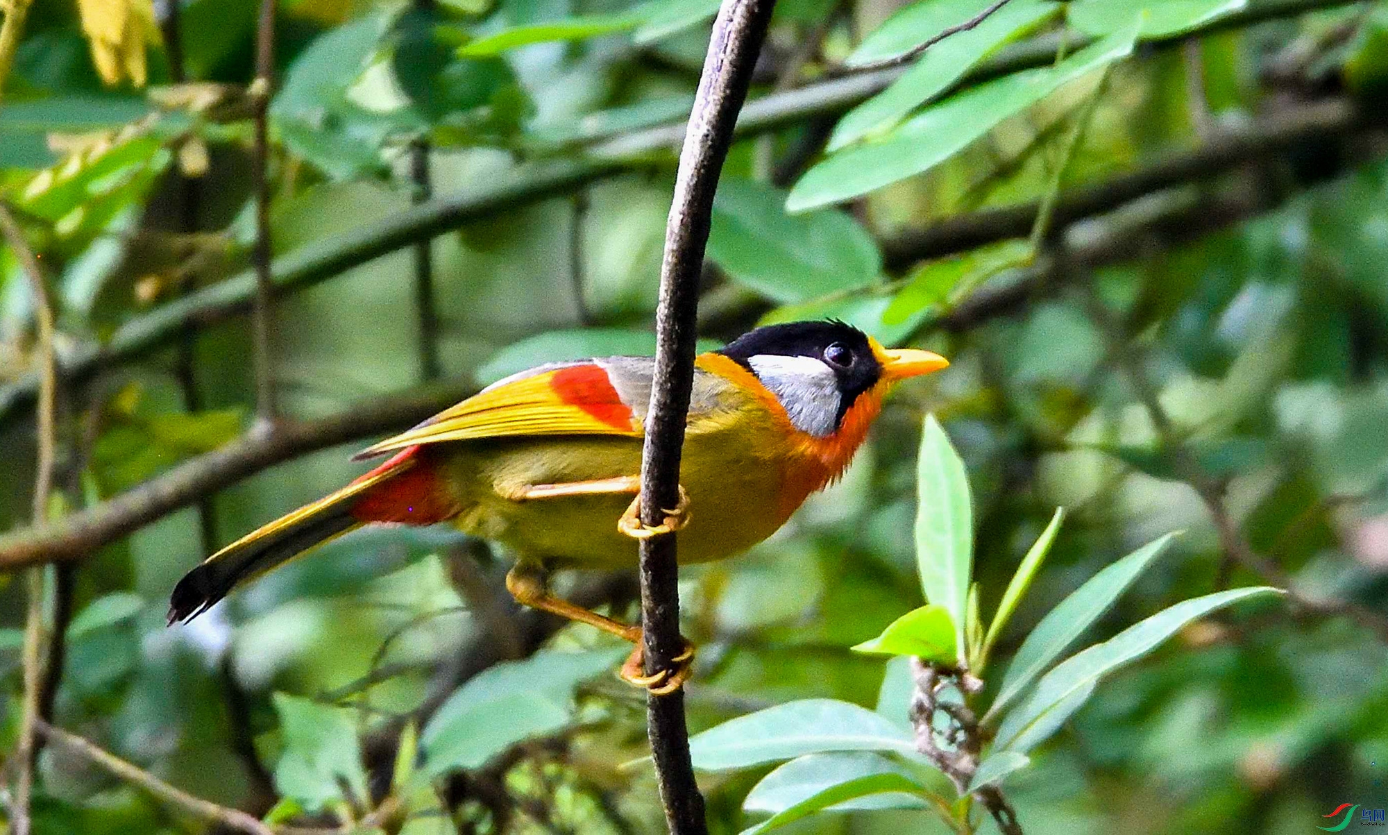 DSC_4165.jpg