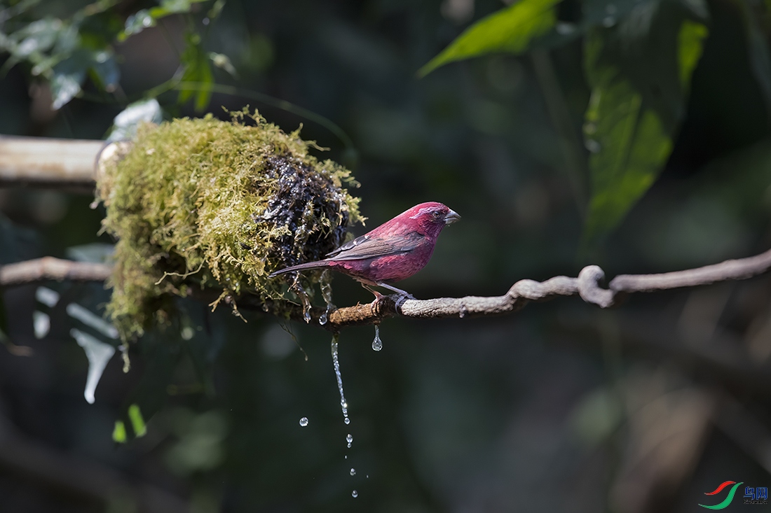 A46I9375 ����.psd2 ����.jpg22.jpg