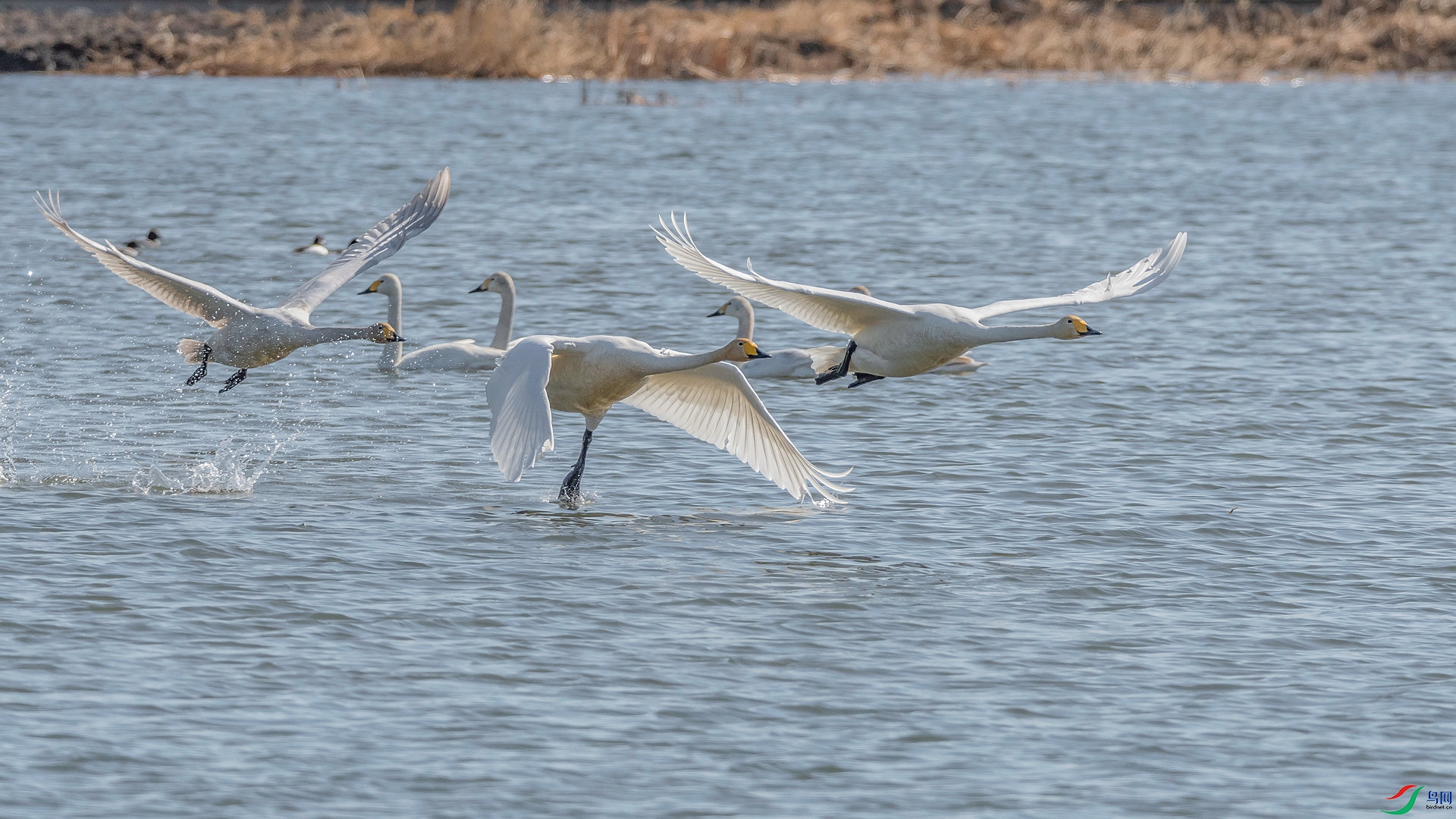 DSC_6841_��ͼ��_����.jpg