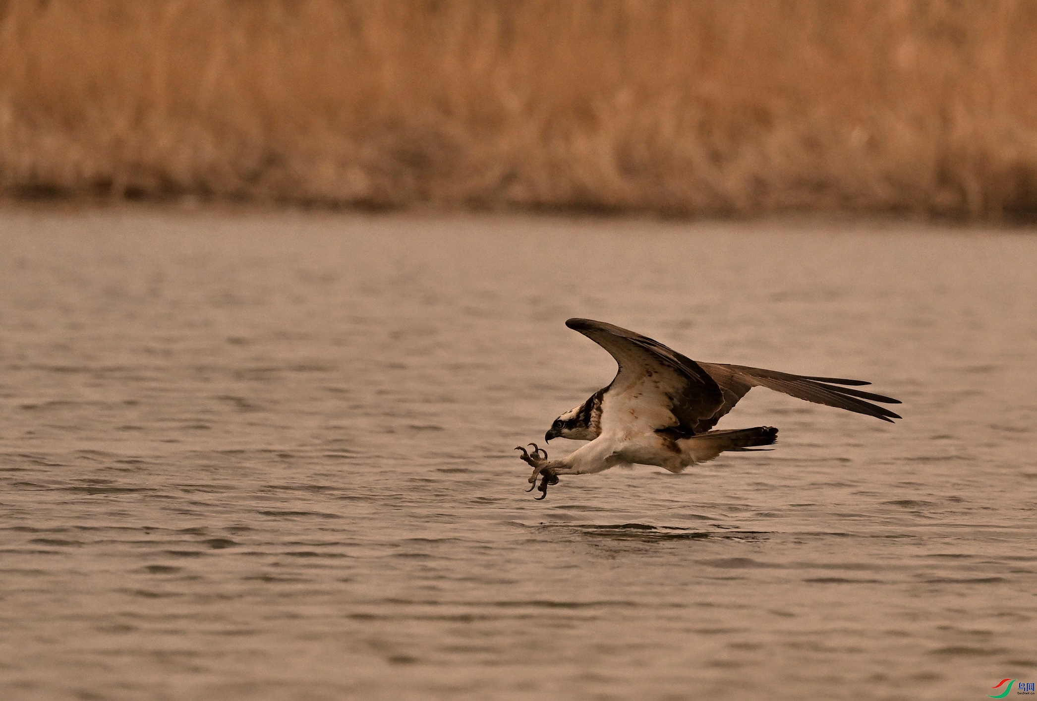 DSC_6589_01.JPG
