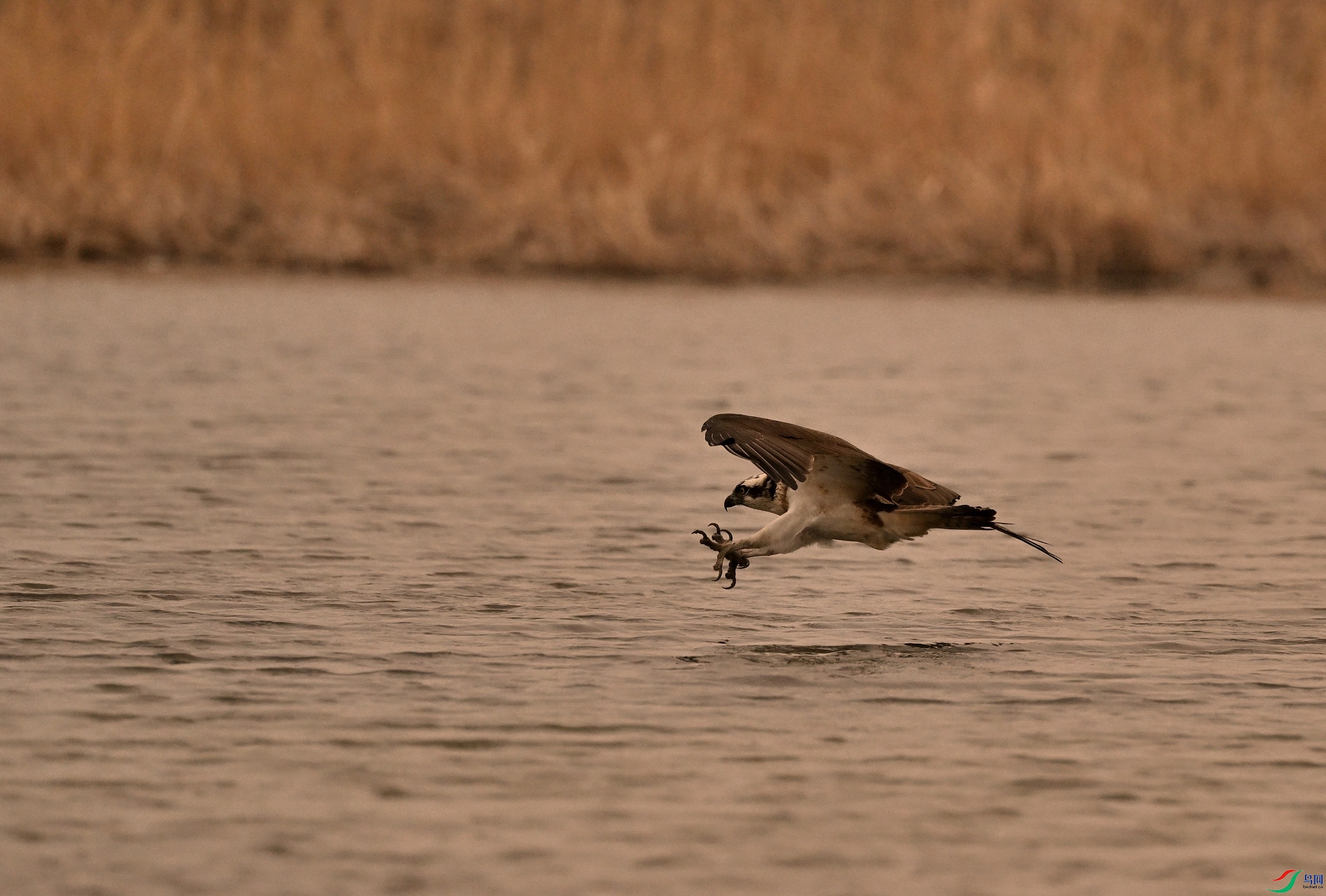 DSC_6588_01.JPG