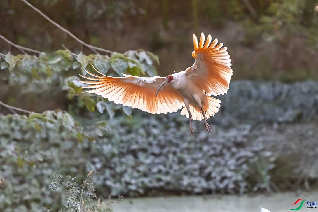 DSC_6250.jpg