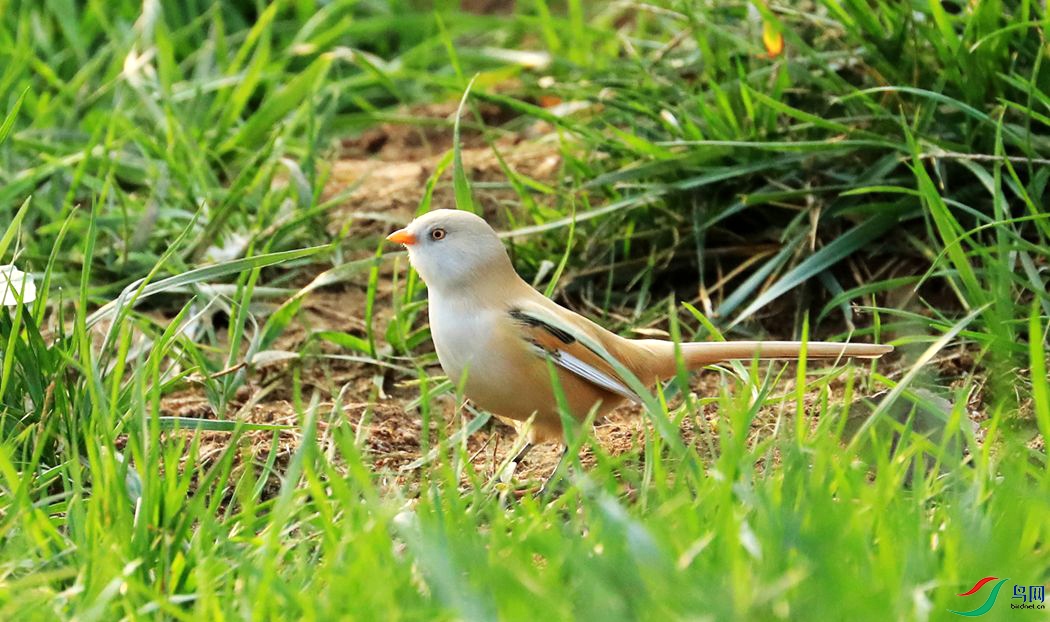 ����ȸ3����.jpg