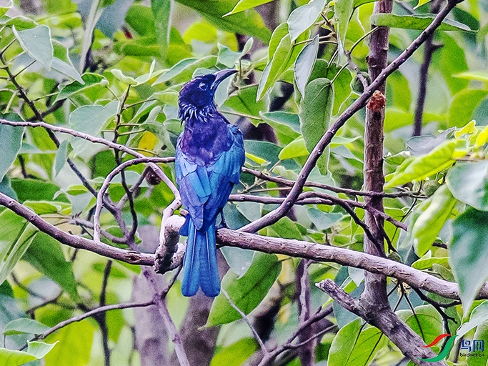 DSC_8563.jpg