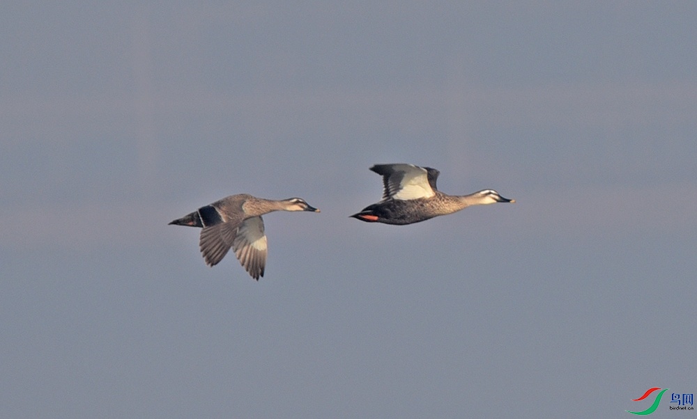 DSC_7682.jpg
