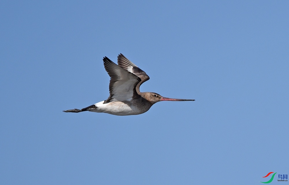 DSC_6256.jpg