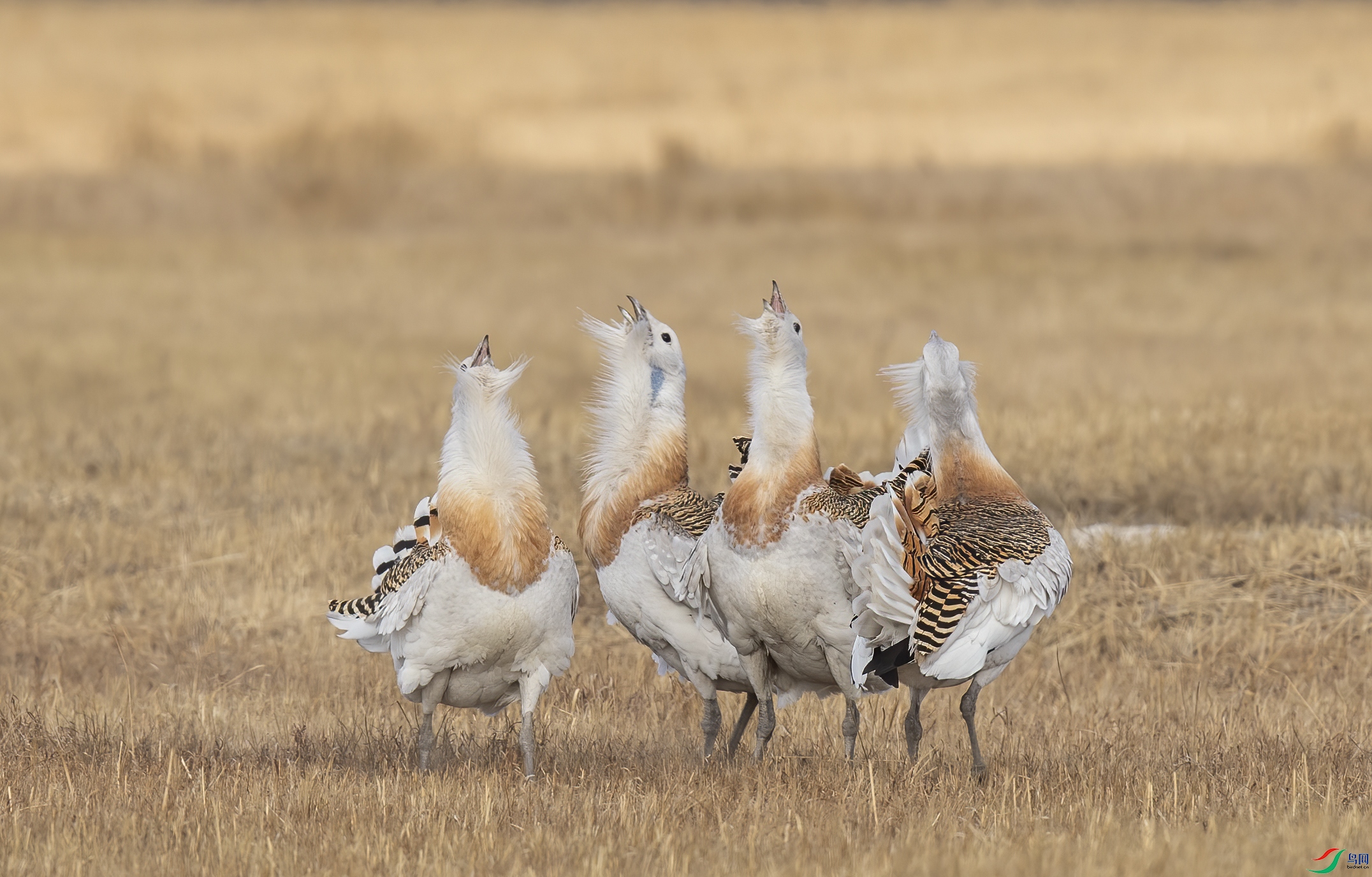 AC3I6768 ����.jpg