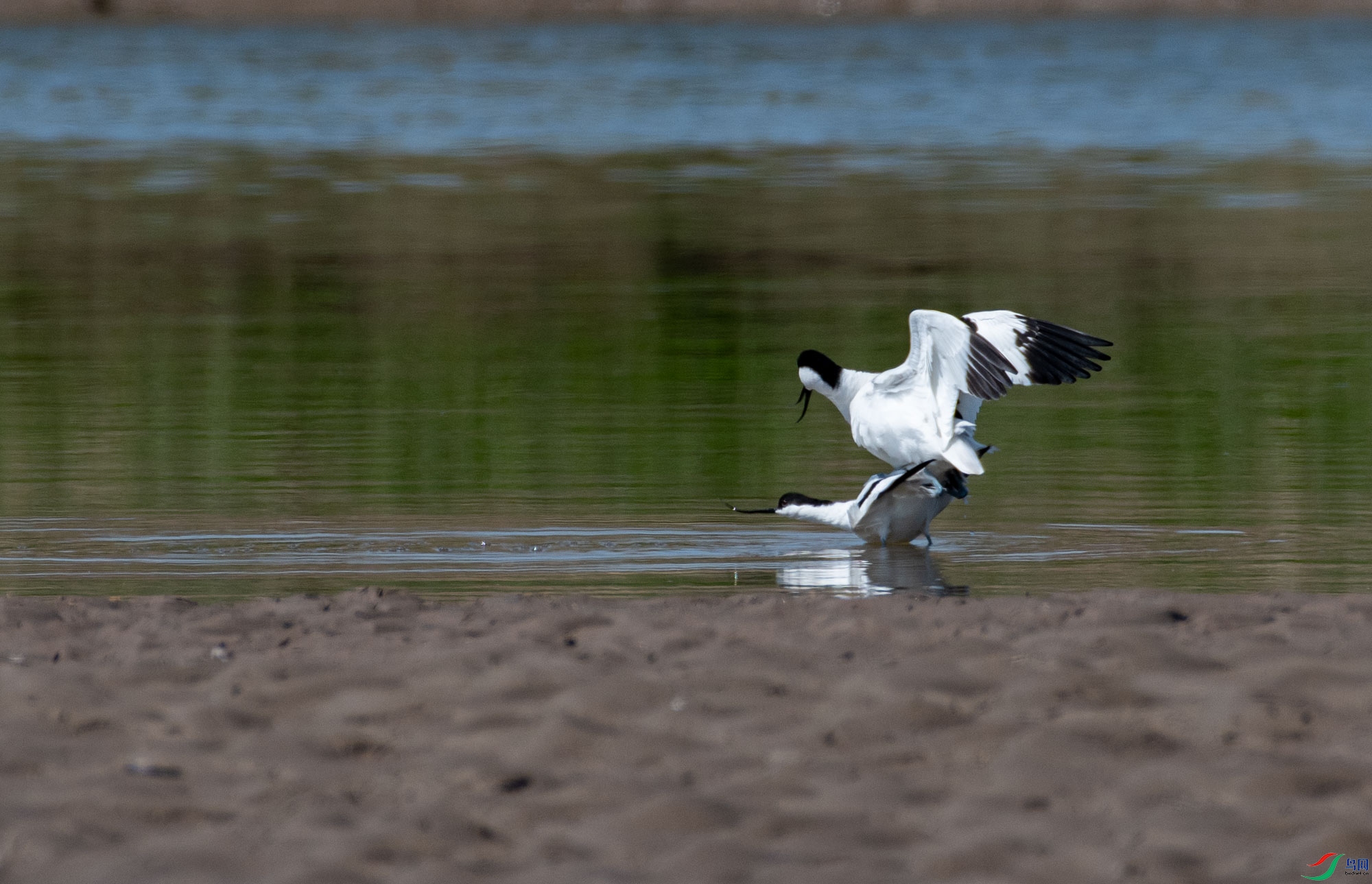 DSC_4168.jpg