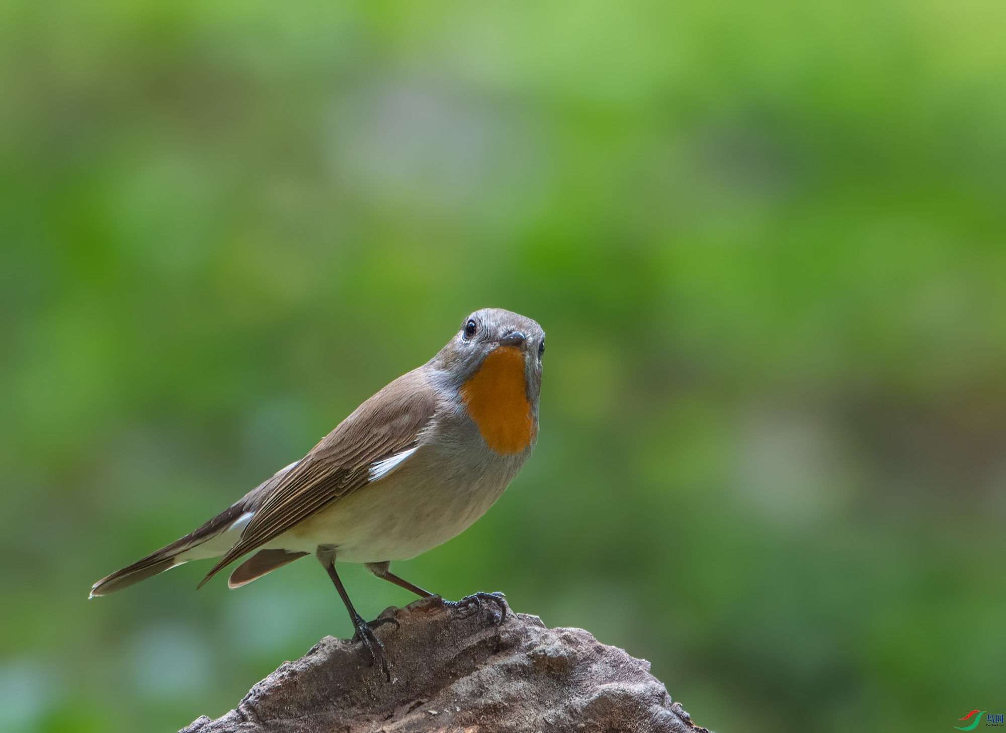 DSC_6644.jpg