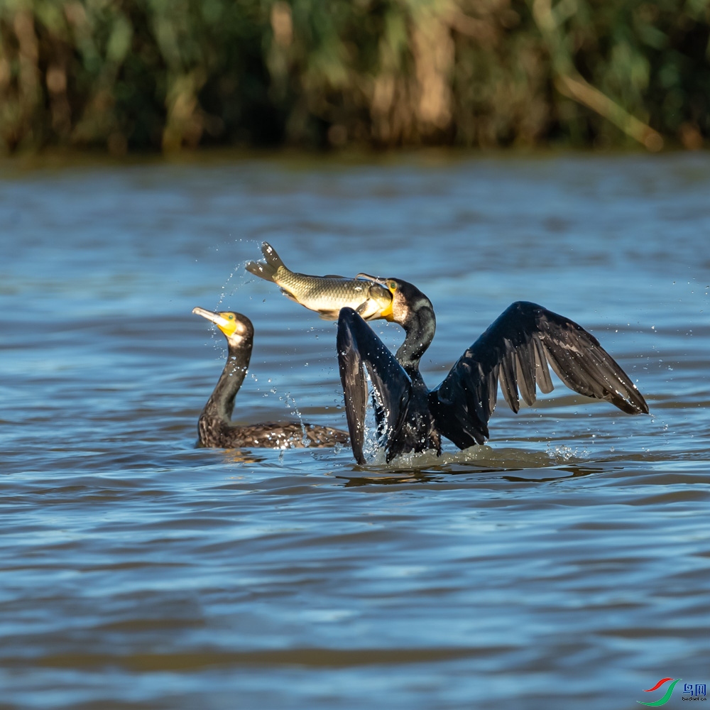 DSC_1637.jpg