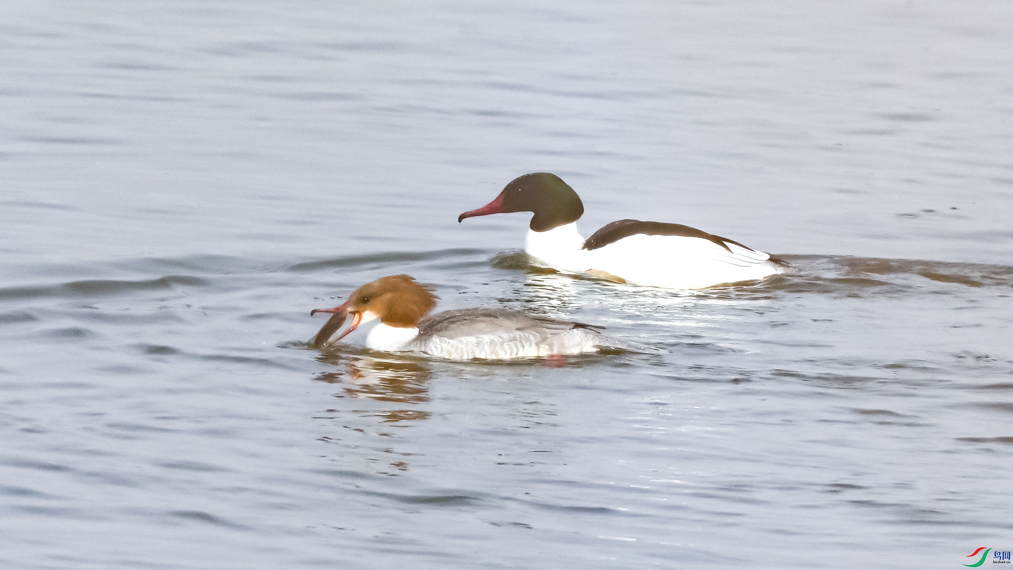 ��ͨ��ɳѼ�Ŀ�������